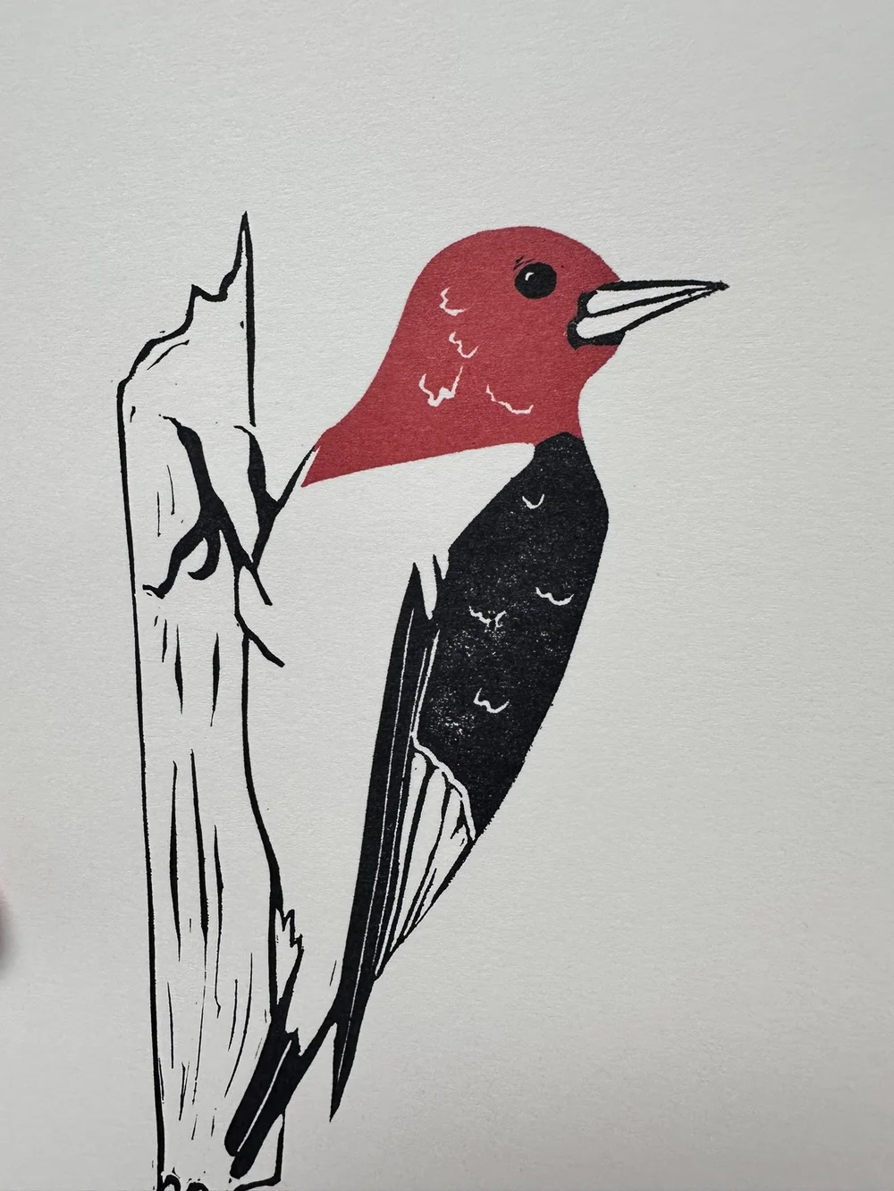 Red Headed Woodpecker Print (Original) — Fragments and Fig