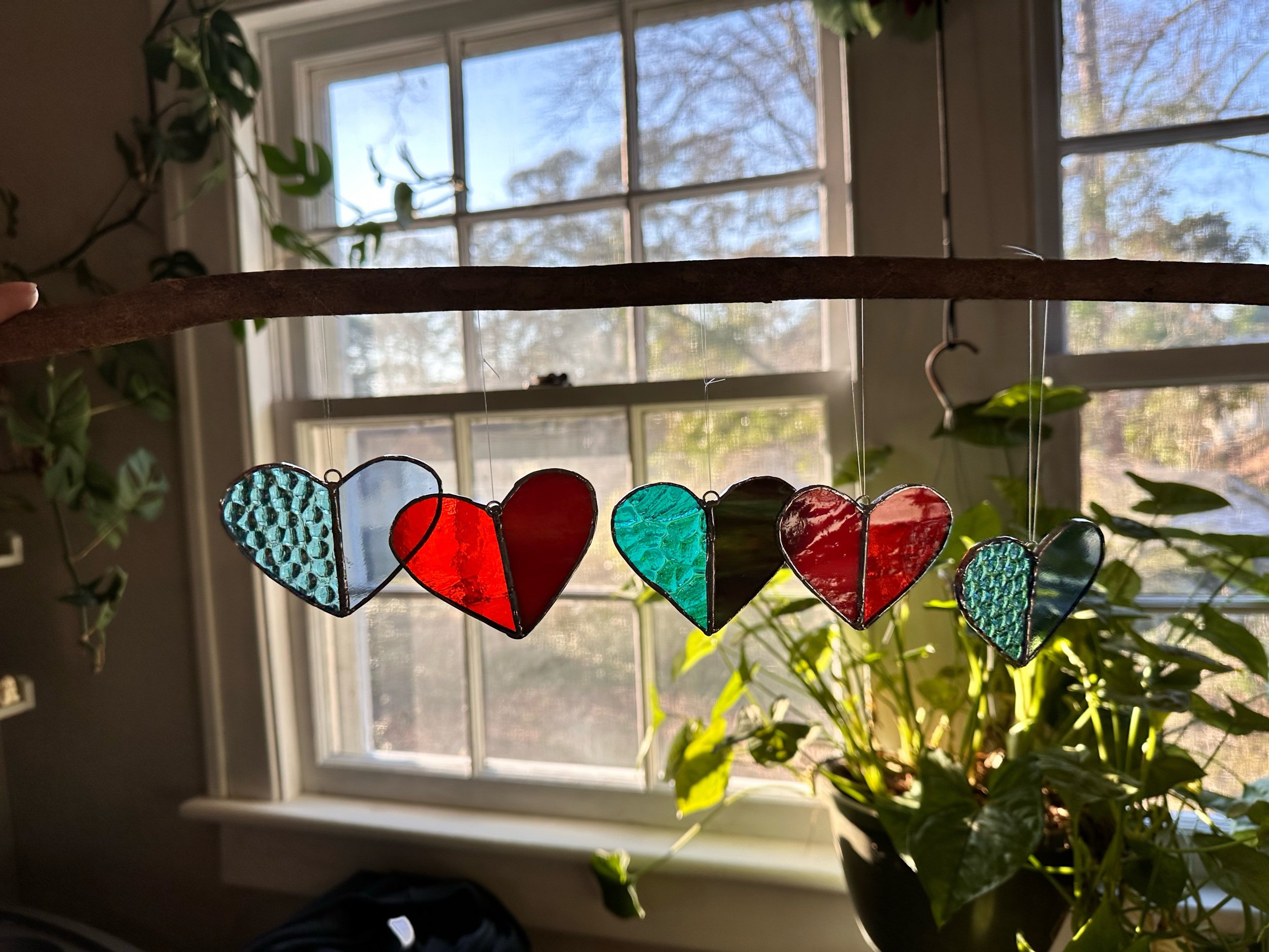 BDB5D376-F129-4D94-9F7E-7E1790335DAE.jpeg
