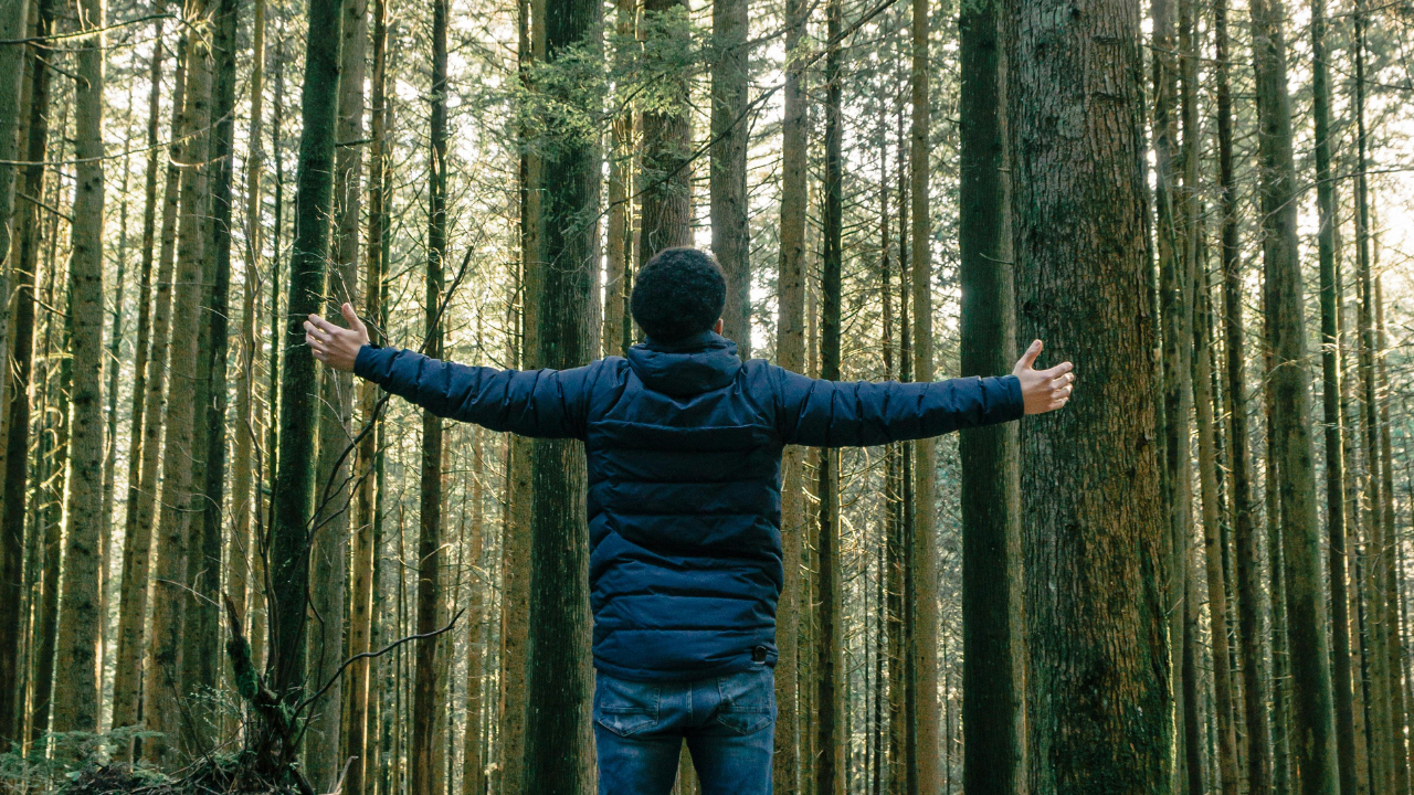 The Somatic Signature of Self: A New Language for Inner Leadership (internal family systems)
