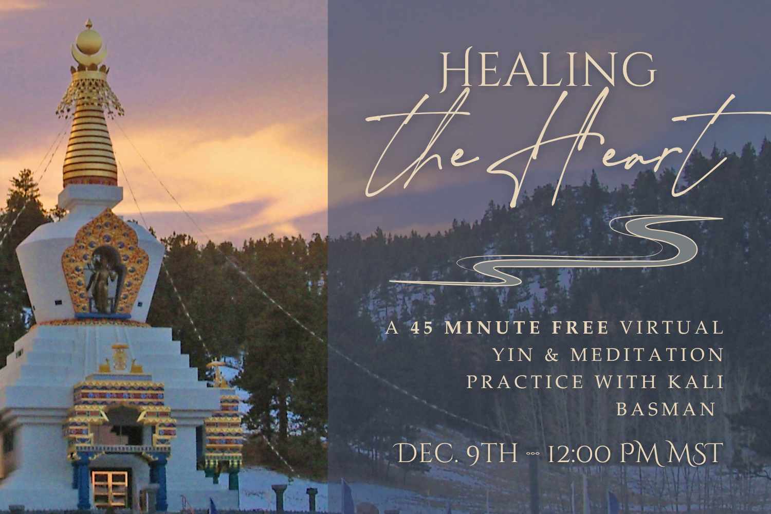 FREE Masterclass | Healing the Heart | Virual