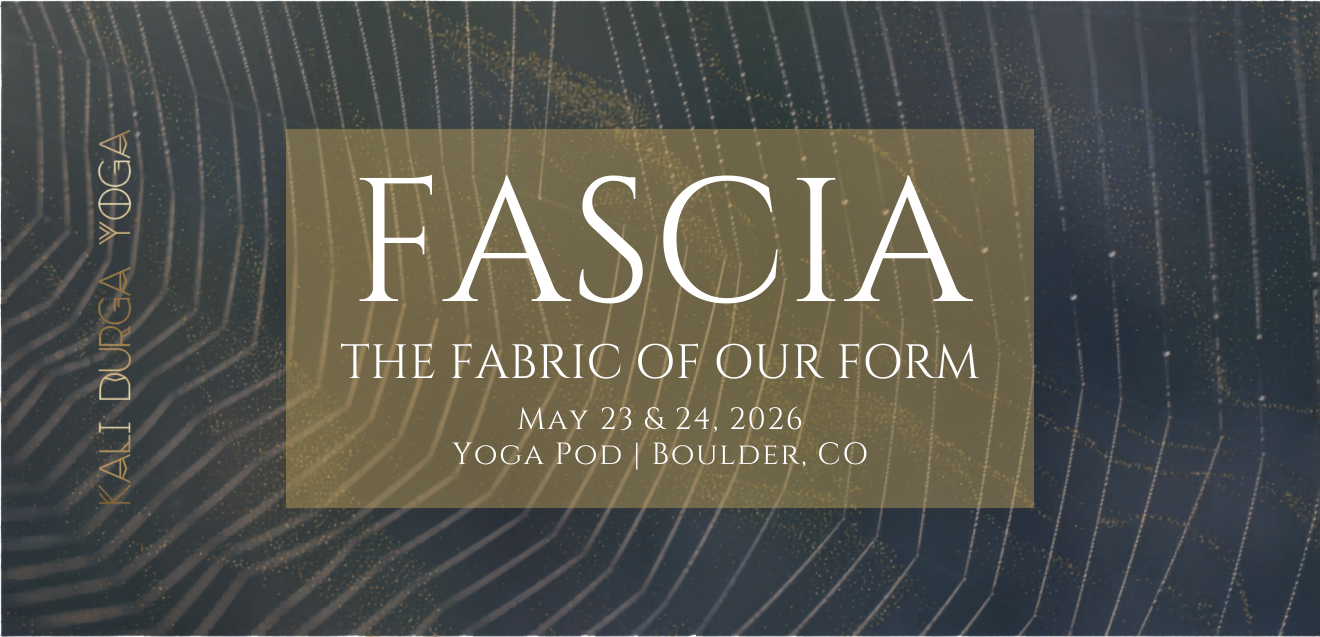 Fascia: The Fabric of our Form | Yoga Pod | Boulder, CO