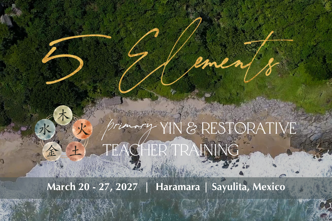 5 Elements Primary Yin &amp; Restorative Yoga Teacher Training | Haramara | Sayulita, Mexico