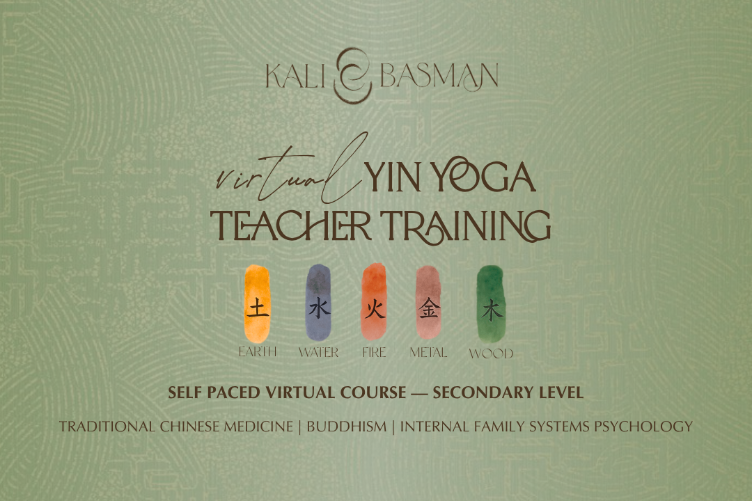 Secondary Yin Yoga Teacher Training, Autumn Cohort | Virtual