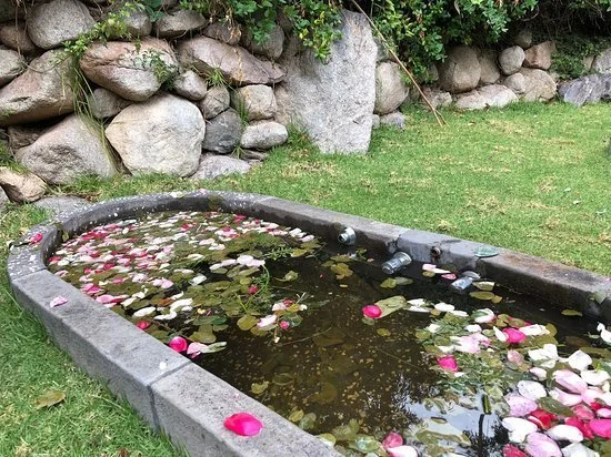 A stone water fountain with floating pink and white flower petals, situated on a grassy lawn with a stone wall in the background.