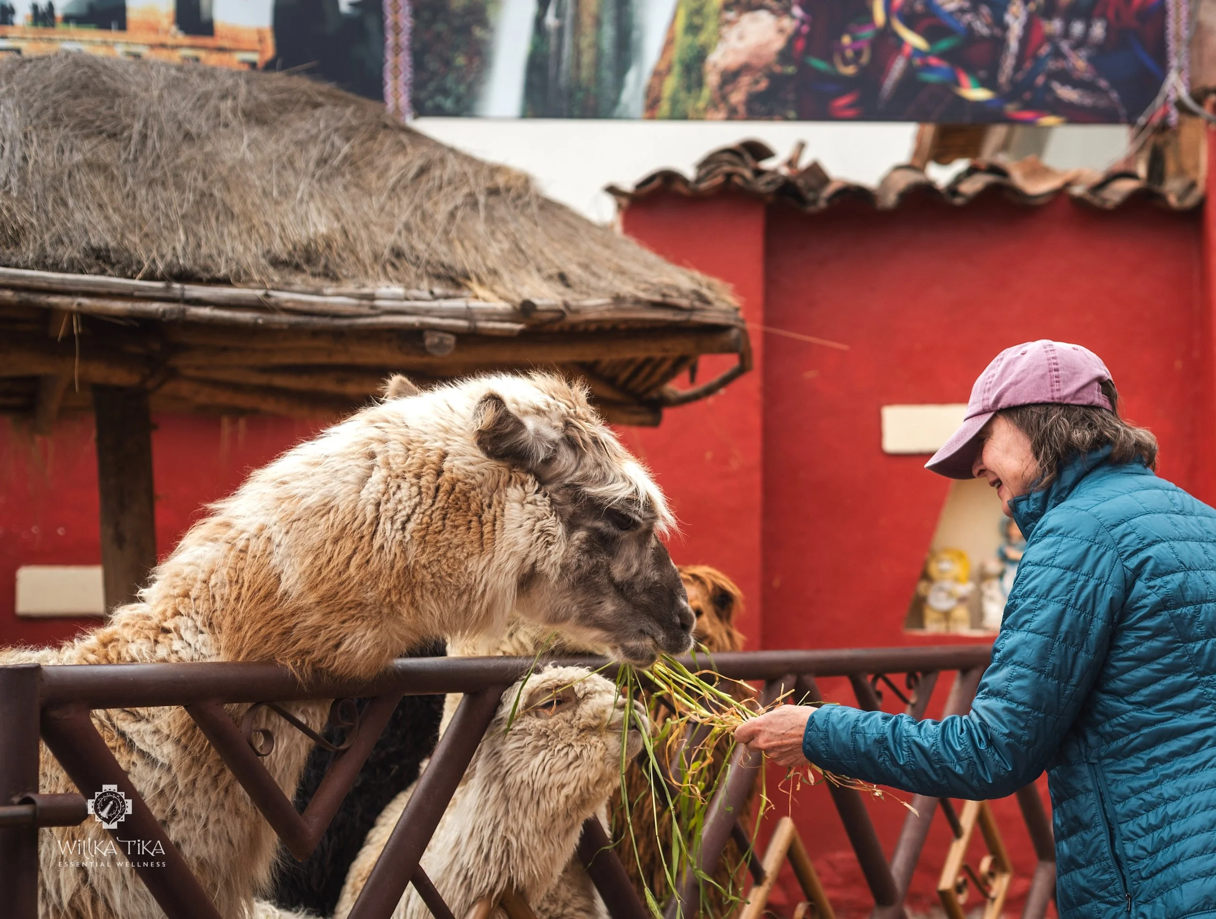 willka-tikka-sacred-valley-peru-retreat26.jpg
