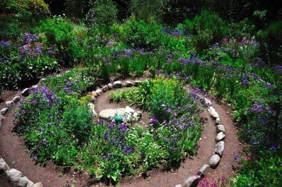 A garden with winding circular paths bordered by rocks, filled with colorful flowers and lush green plants.