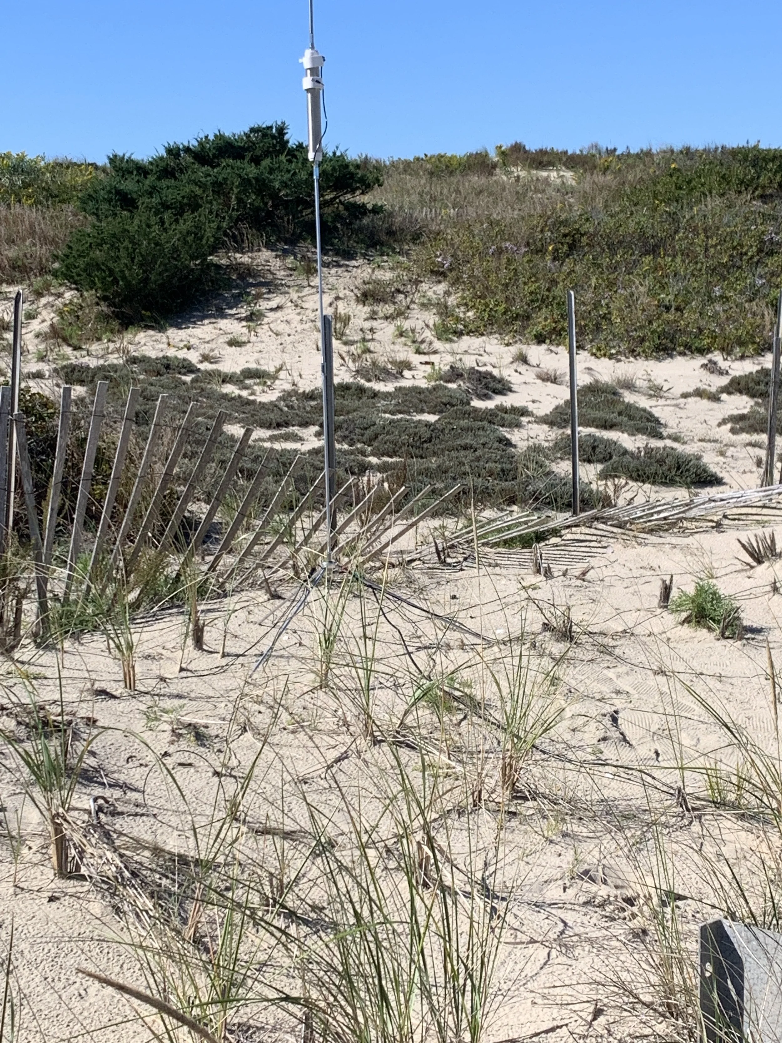 Portable amateur radio antenna deployed in the field