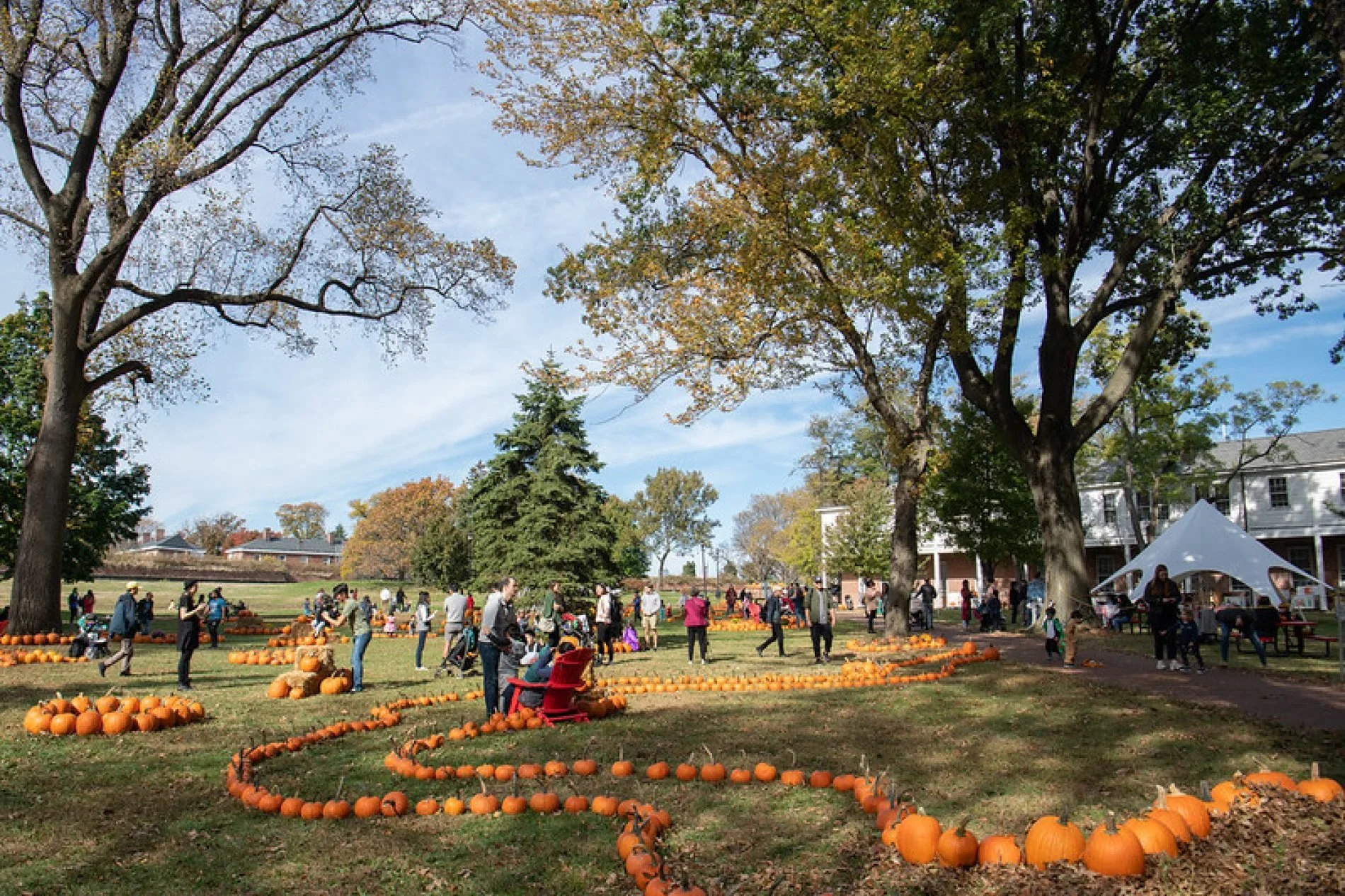 pumpkin-point-1.jpg