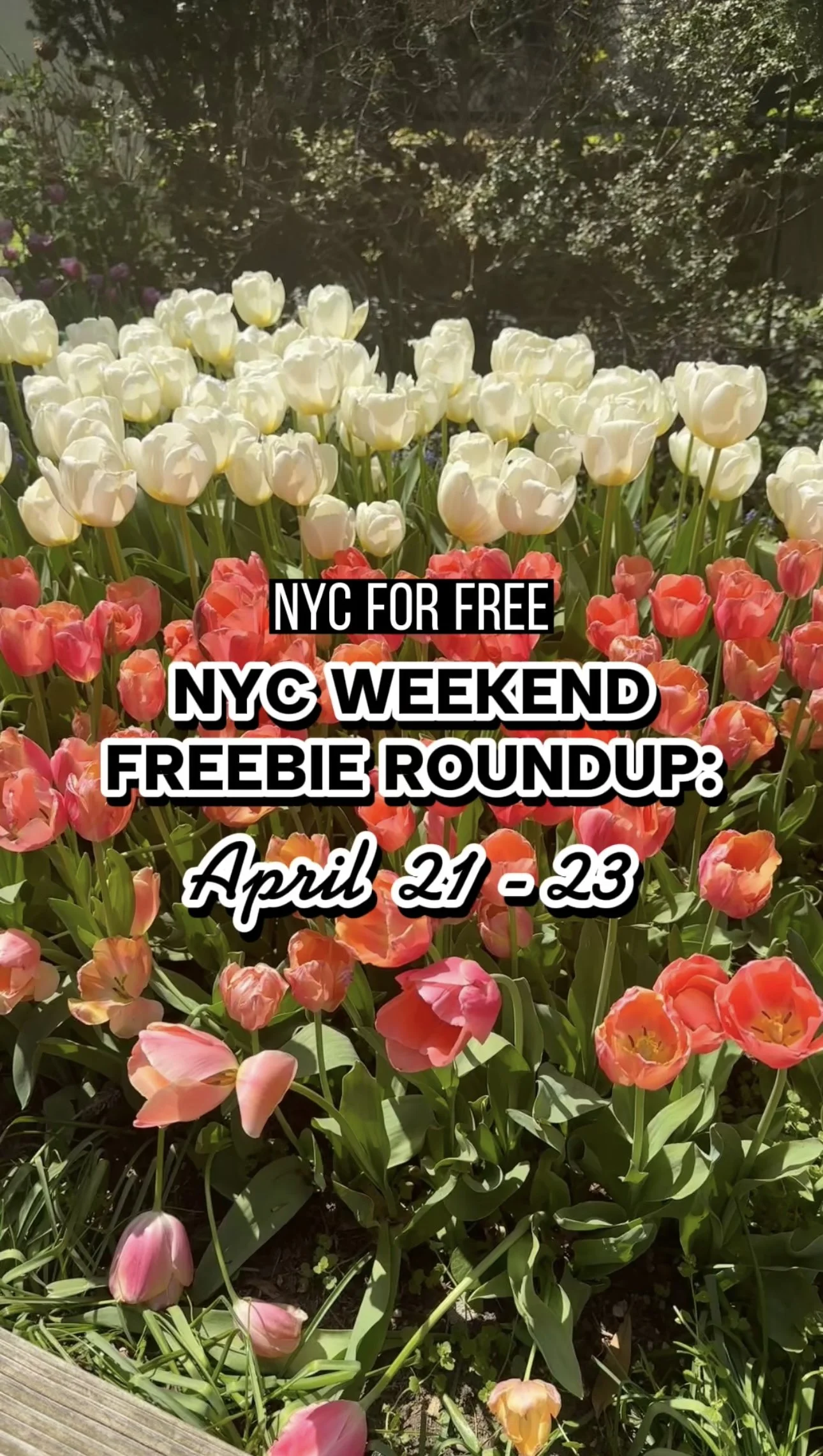 NYC for FREE