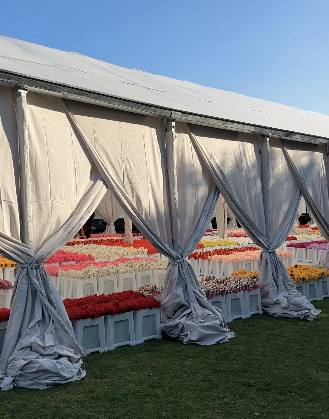 Flower Market 2.0 by CJ Hendry