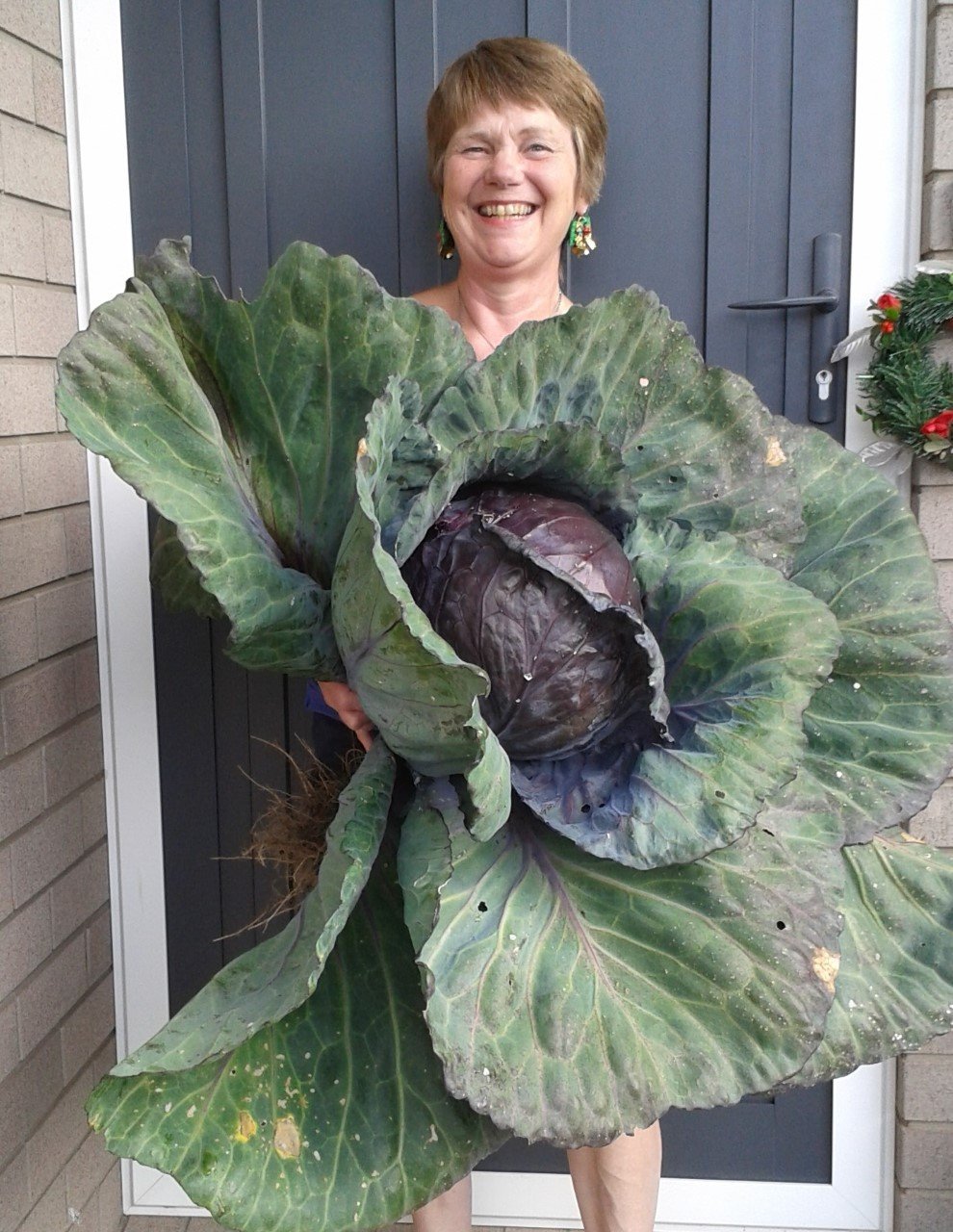 Carole+Booth+-+cabbage!.jpeg