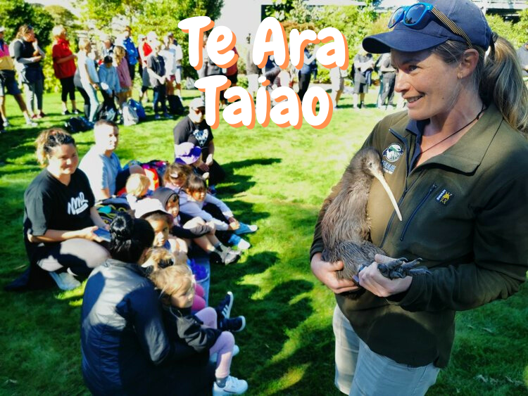 Te Ara Taiao