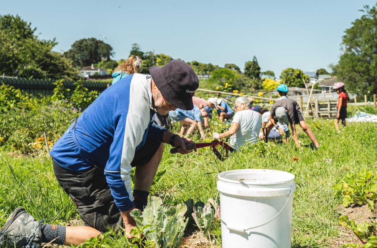 Community Gardens - Bringing People Together — Sustainable Taranaki