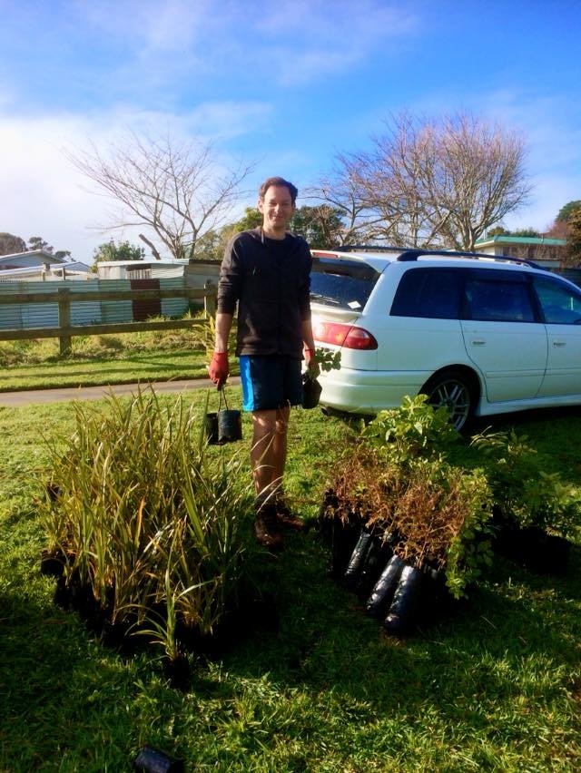 350 natives planted at open day.jpg