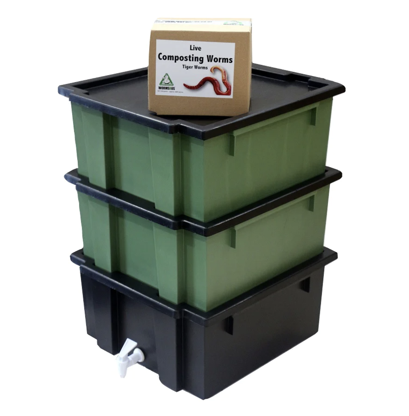 Worm Farm