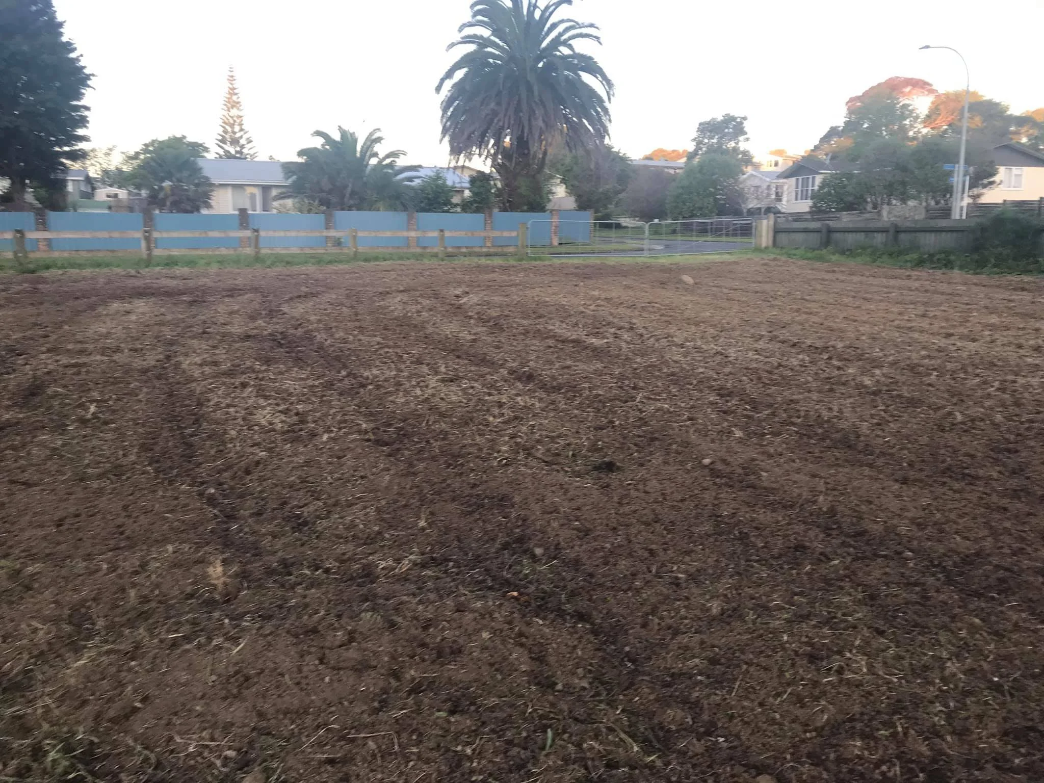 First bare land.jpg