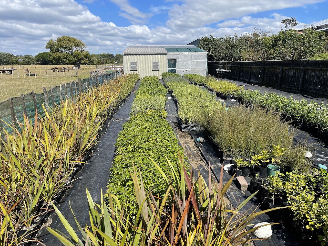 FDMC Plant Nursery - Open Day