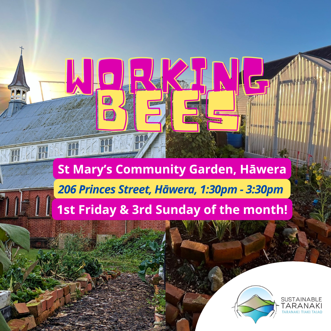 St Mary’s Community Garden, Hāwera - Working Bees - February