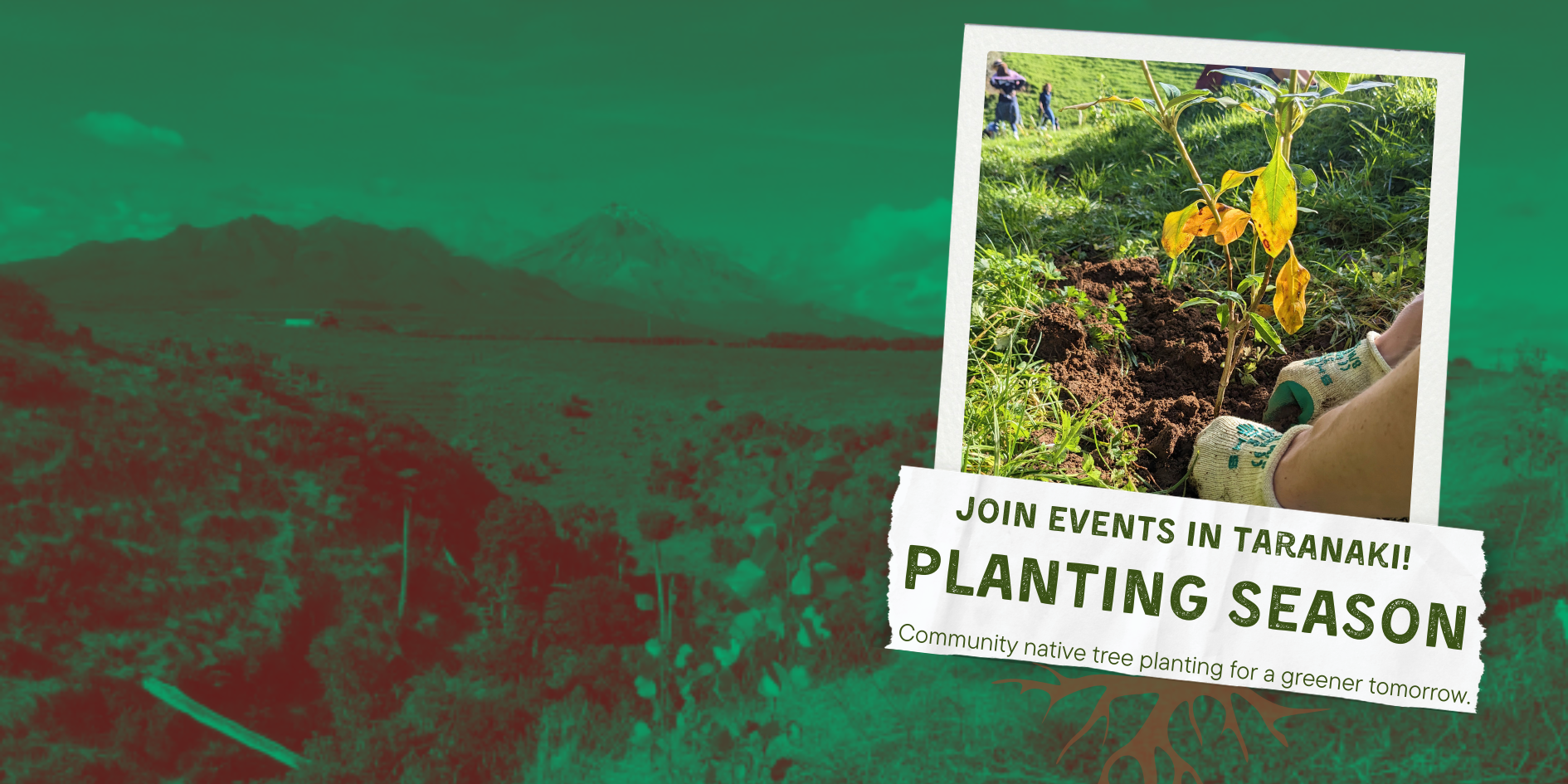 Tree Planting: Bushlies Farm "Riparian stream planting"