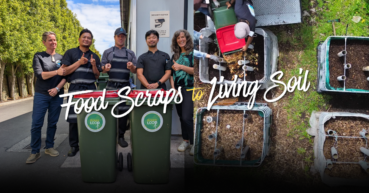 A Day in the Green Loop: Two Free Events during the Sustainable Trails