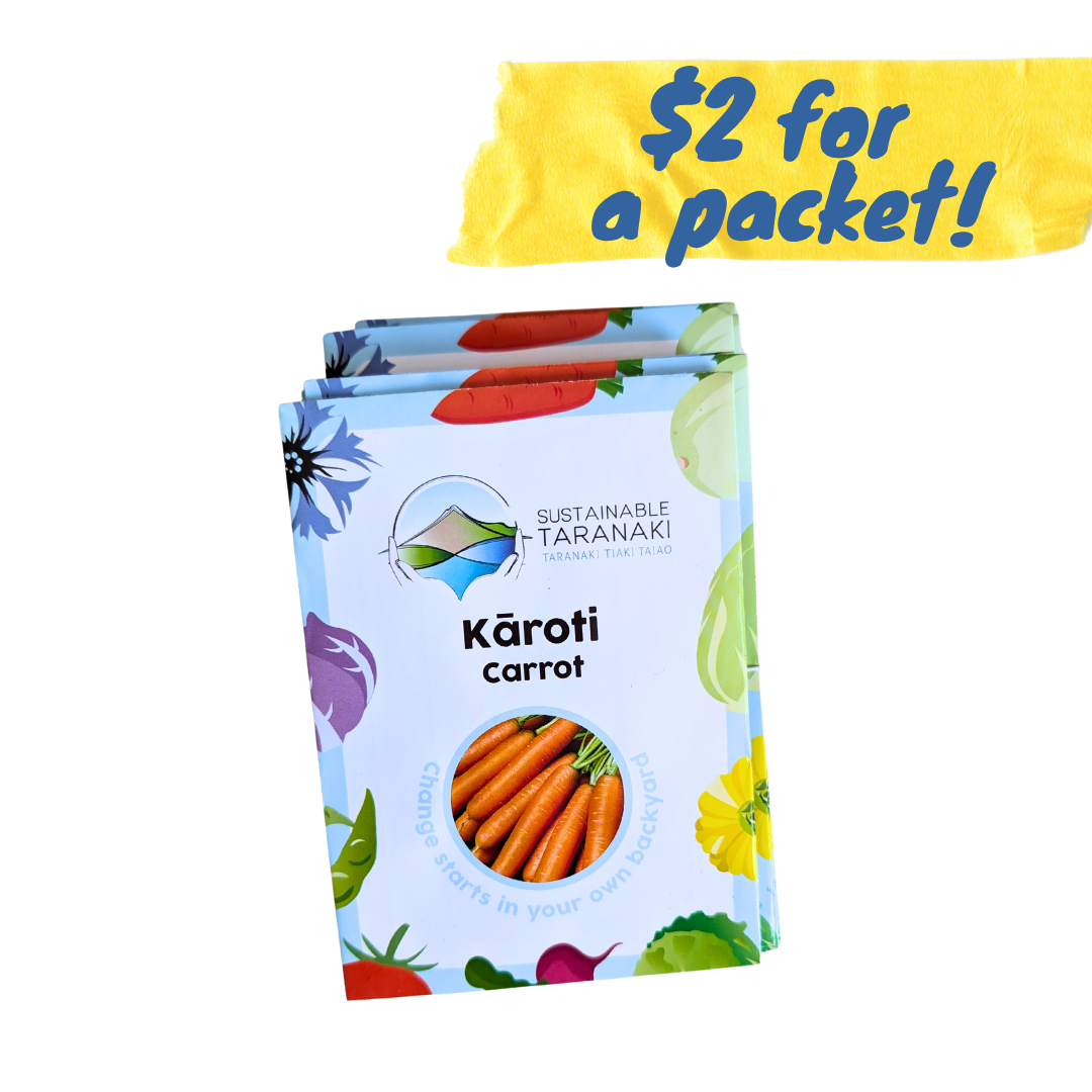 Carrot seeds