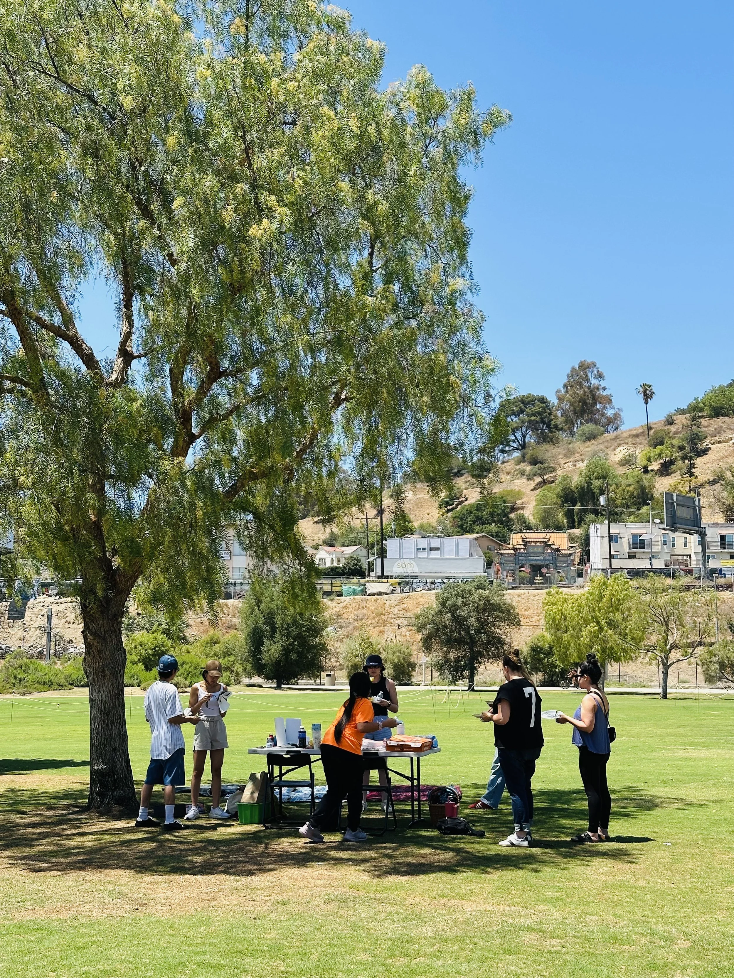 Group of people gathered around a table outdoors in a park on a sunny day, with a large tree providing shade, and a hillside with houses and trees in the background.