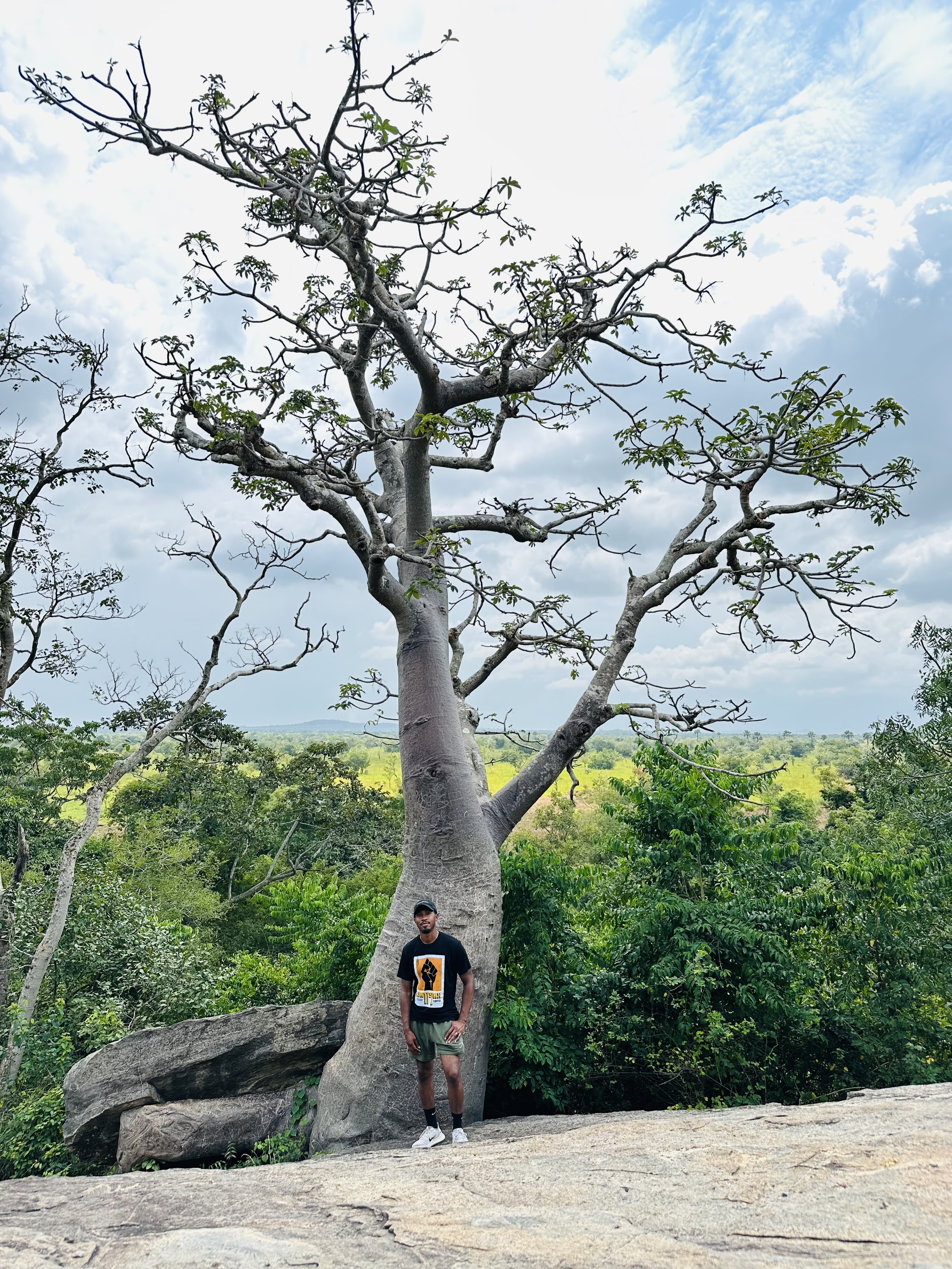A man standing in front of a large, leafless tree with grey bark, surrounded by green foliage under a partly cloudy sky.