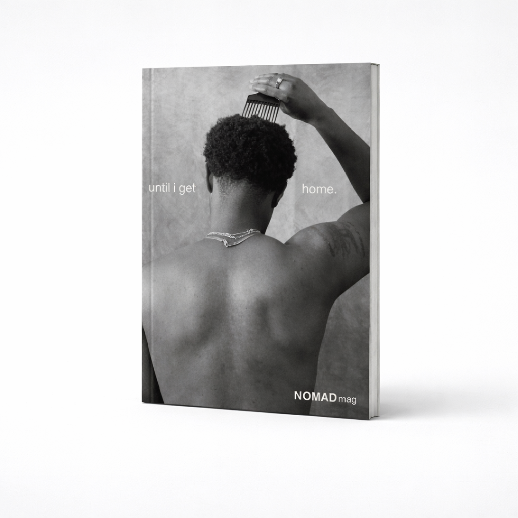 Until I Get Home book cover.png