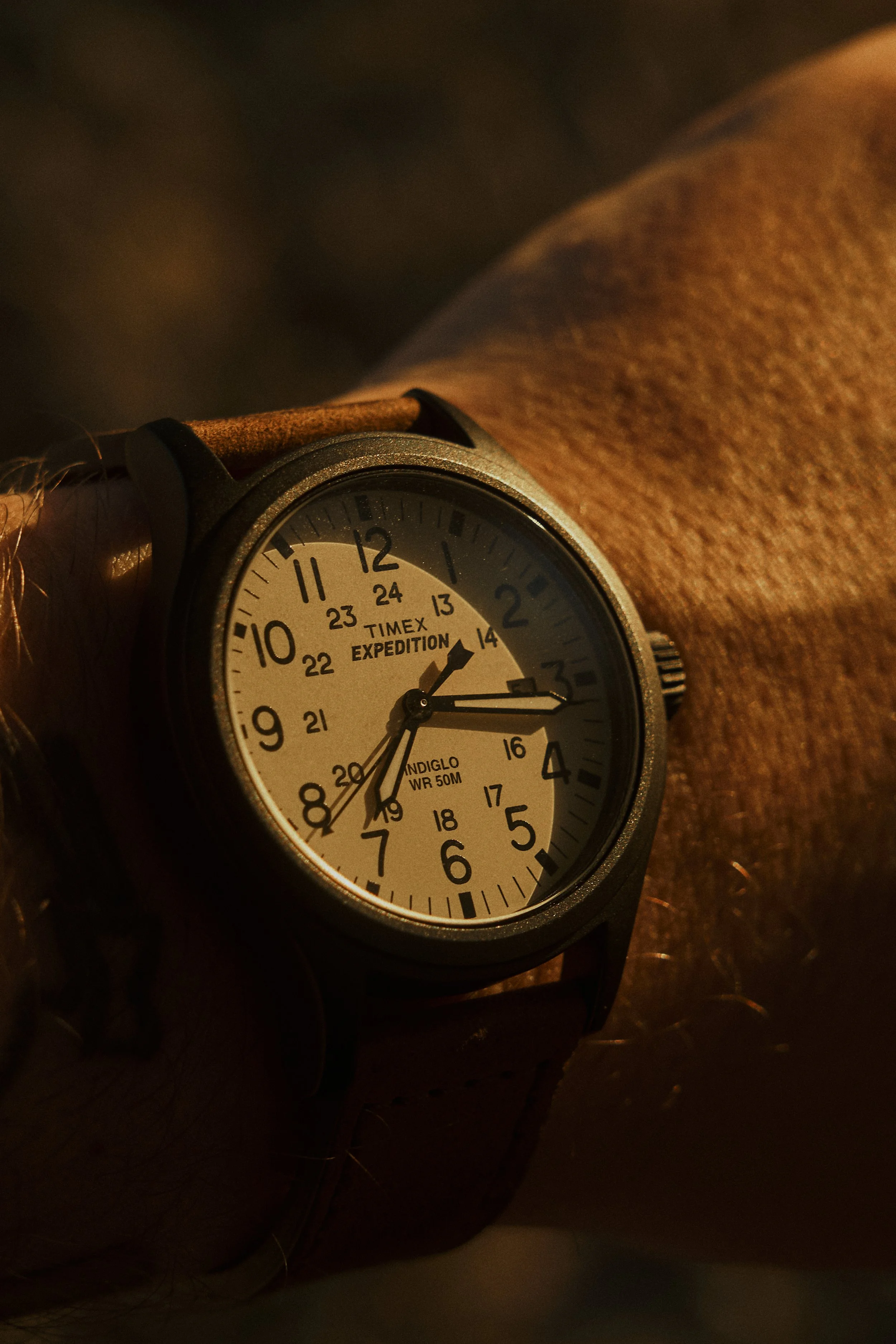 TIMEX Expedition Watch 4.jpg