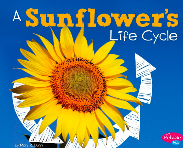 Screen Shot 2024-01-17 at 2.50.08 PM.png