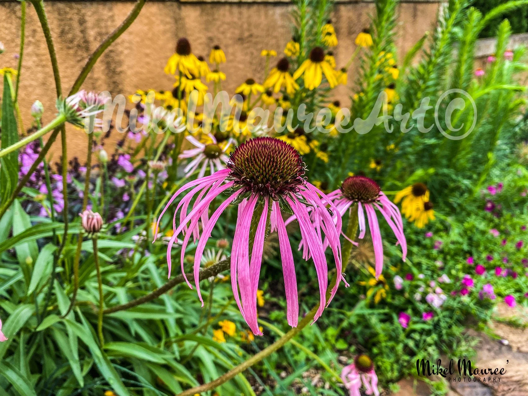 FlowersTulsa300WM.jpg