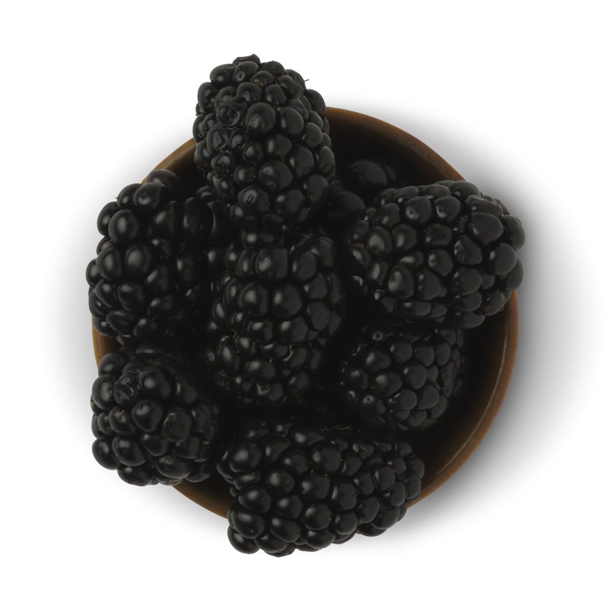 12172020-Black Berries-12142020-Studio Session9555.jpg