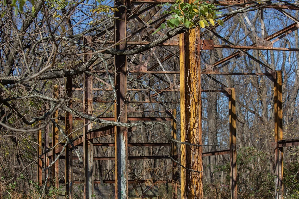 What Could Have Been_Web.jpg