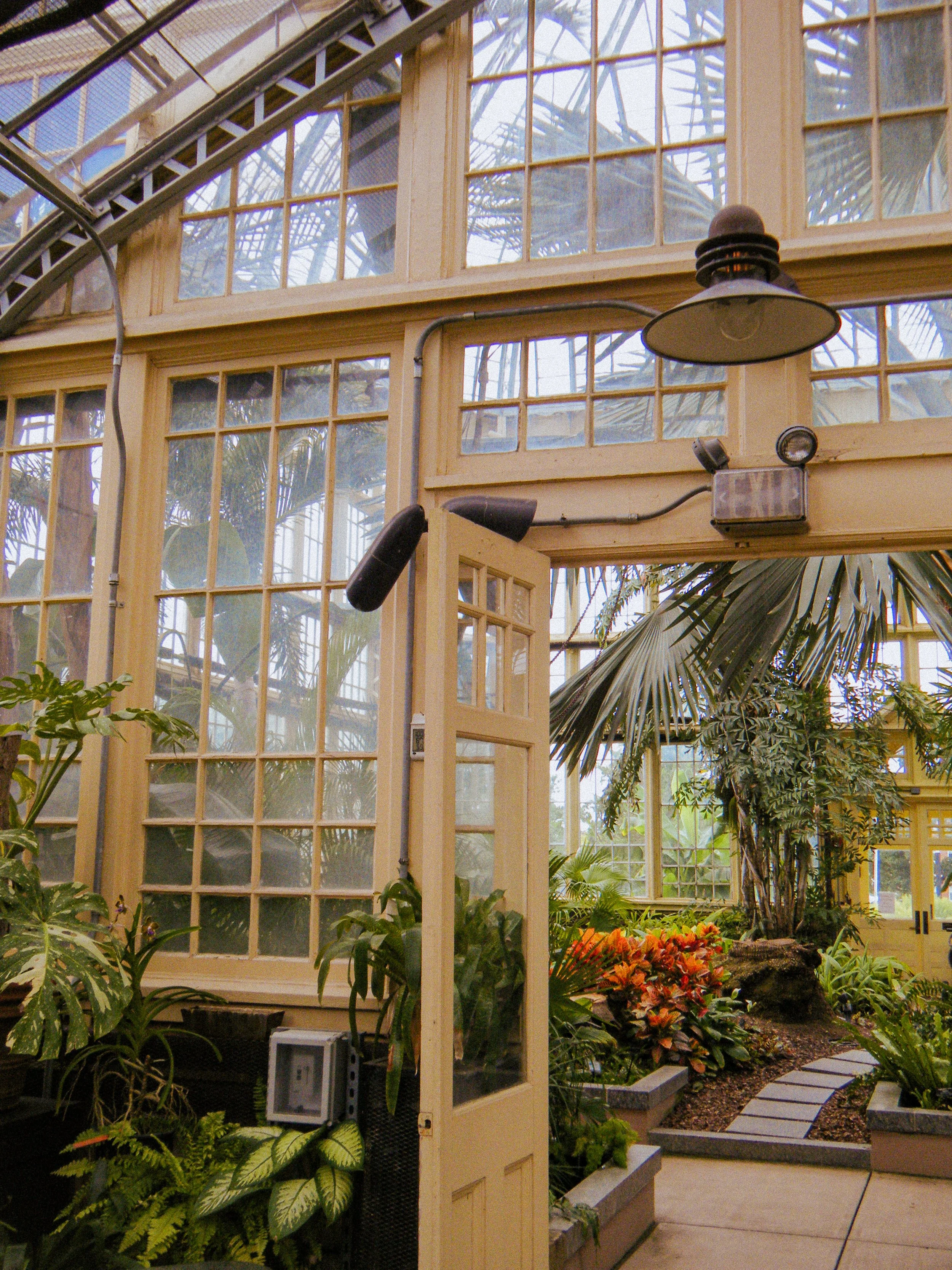 DSCF2815.jpg