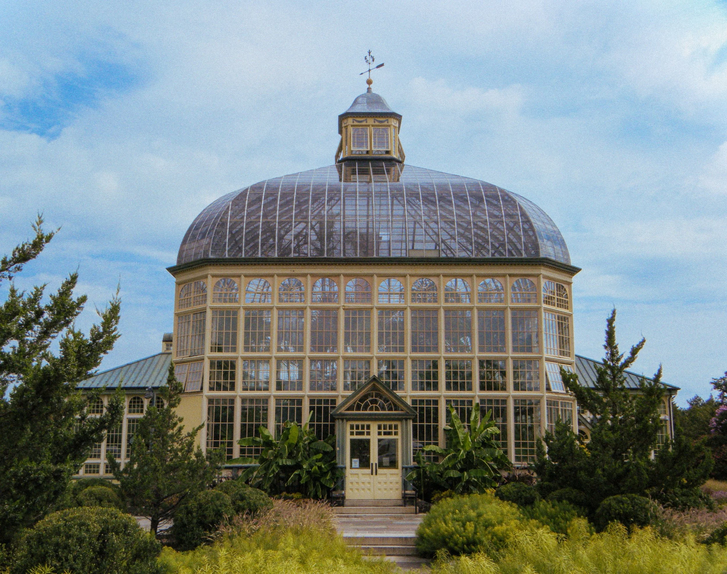 DSCF2786.jpg