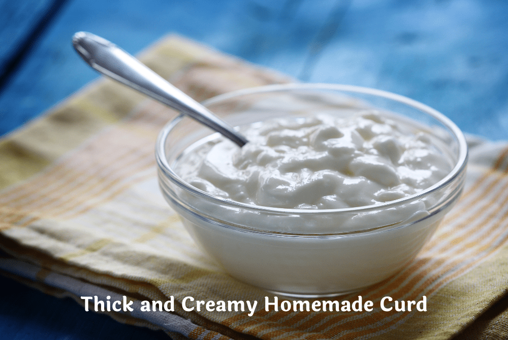 How to Make Perfect Curd at Home with Fresh Milk - Foolproof Guide ...