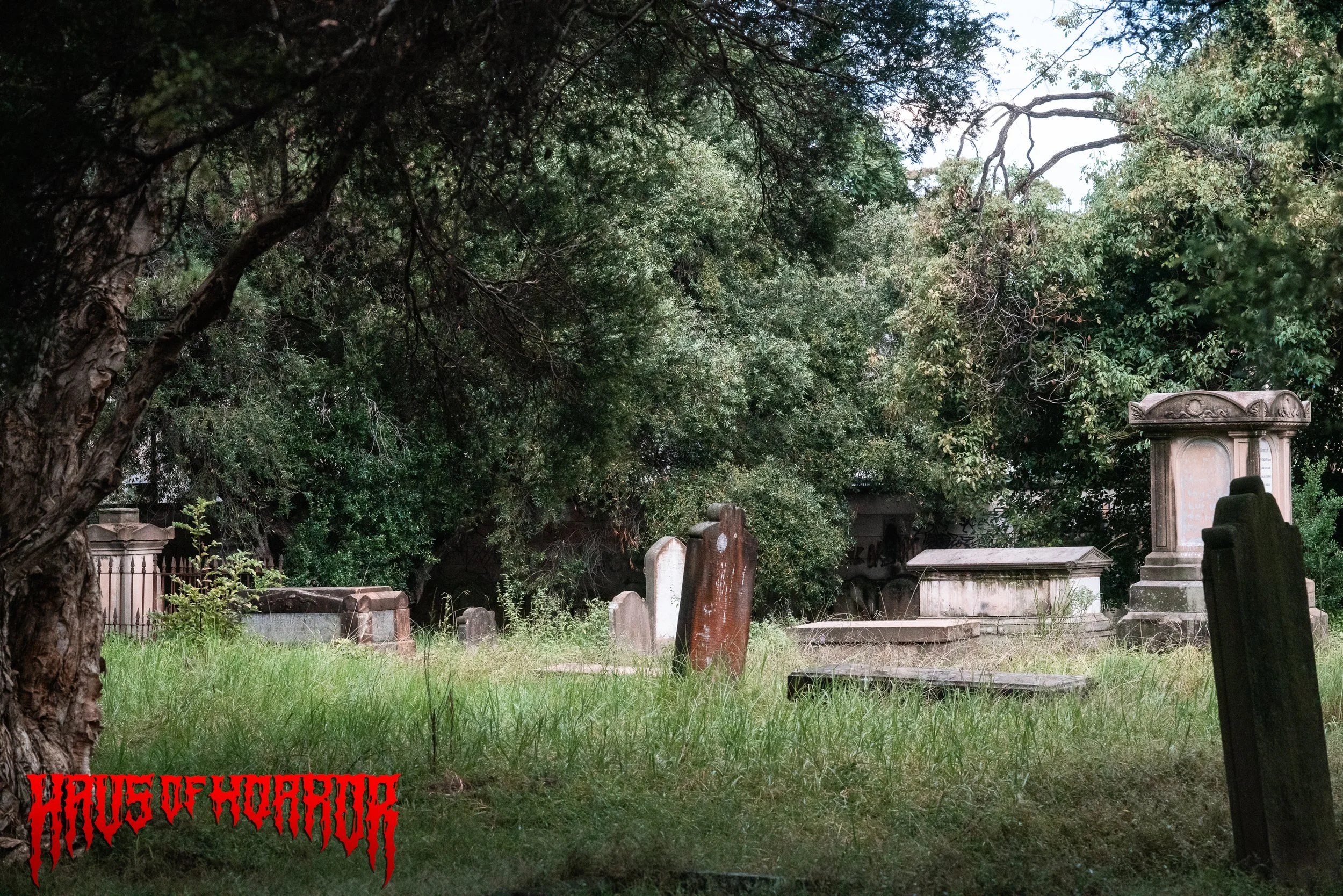 HoH Beetlejuice -127.jpg