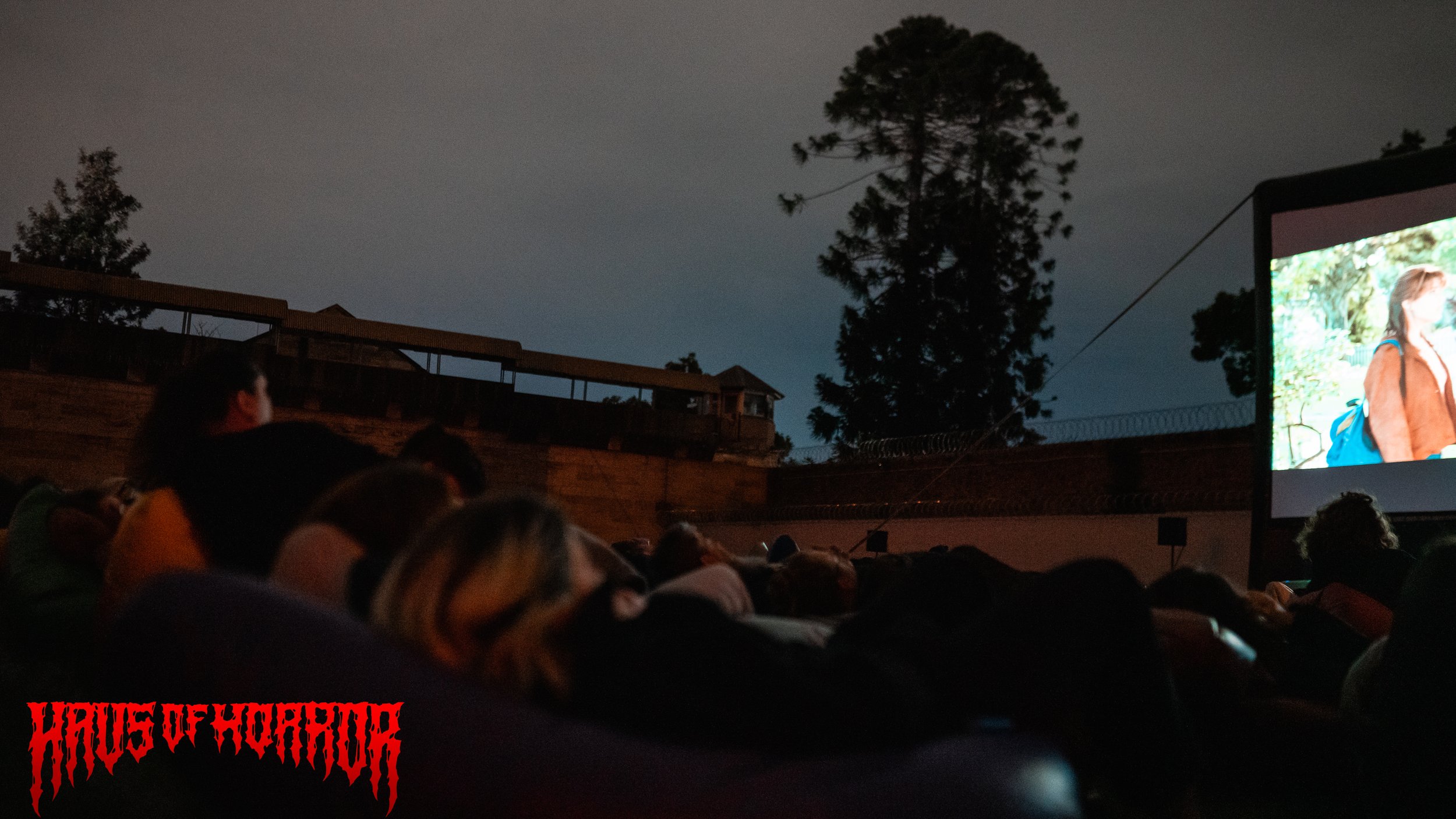 Scream Watermarked-240.jpg