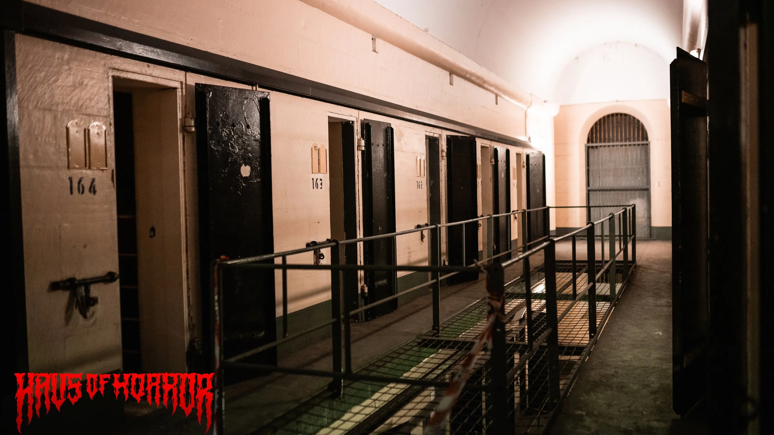 Scream Watermarked-231.jpg