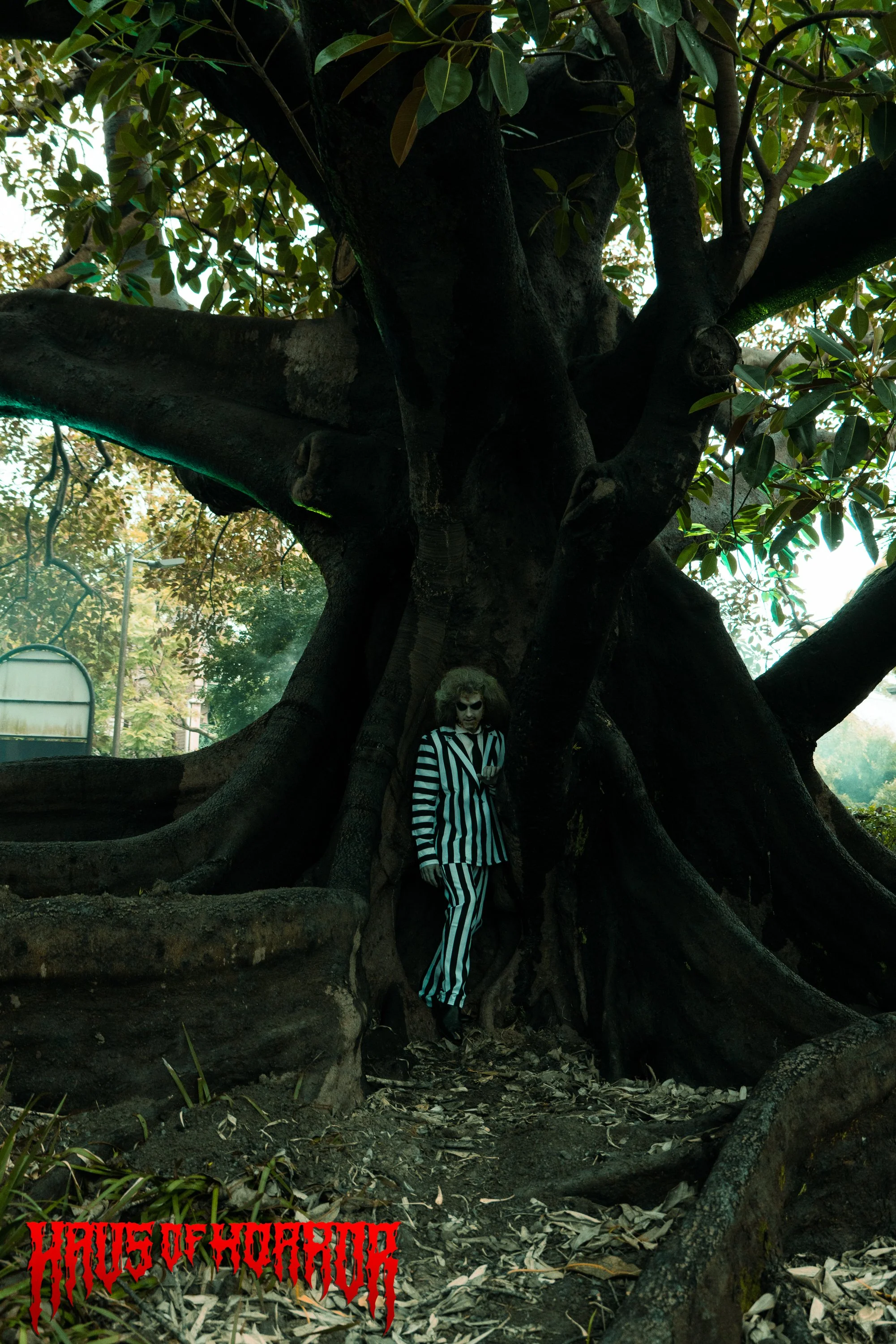 HoH Beetlejuice -11.jpg