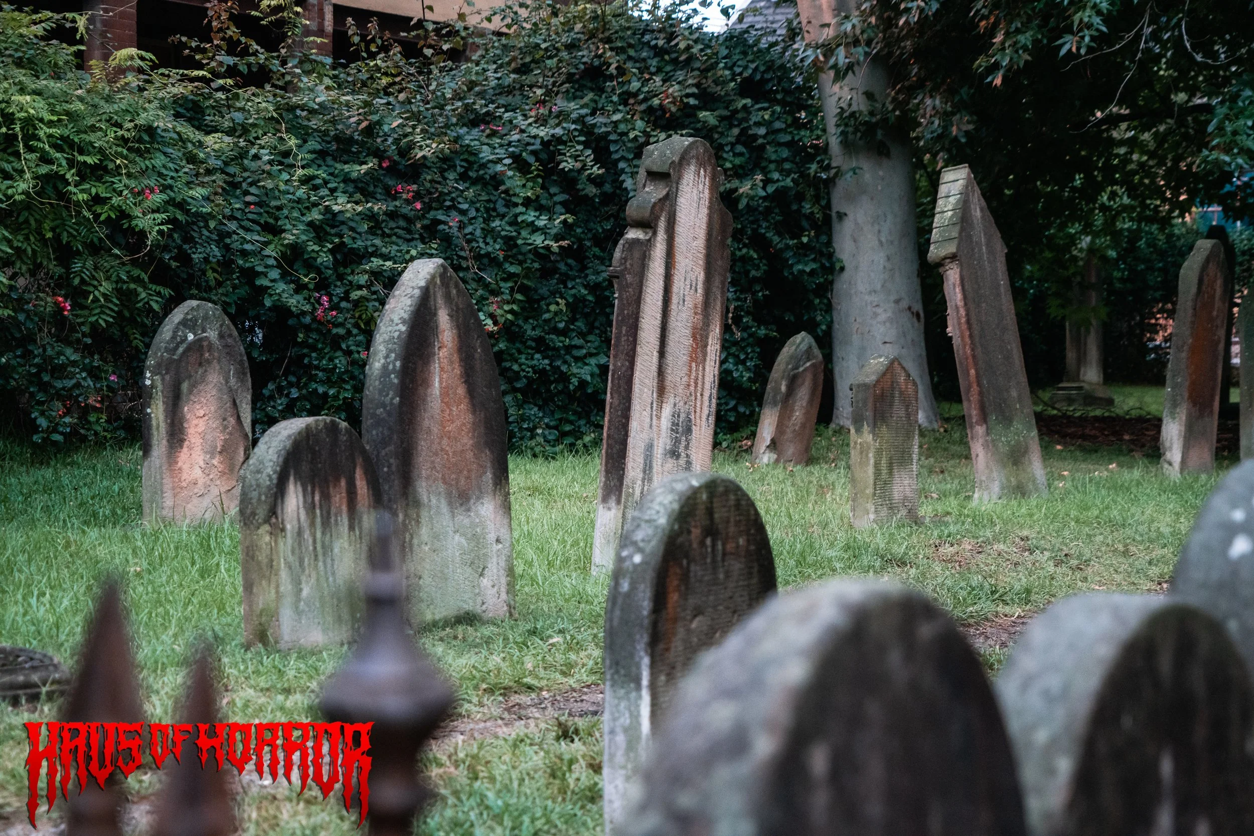 HoH Beetlejuice -83.jpg