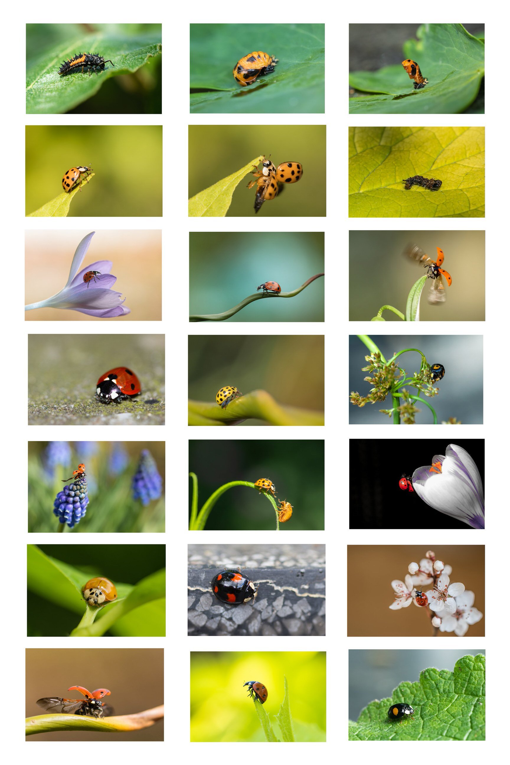 Fotograaf Diny Heidenrijk