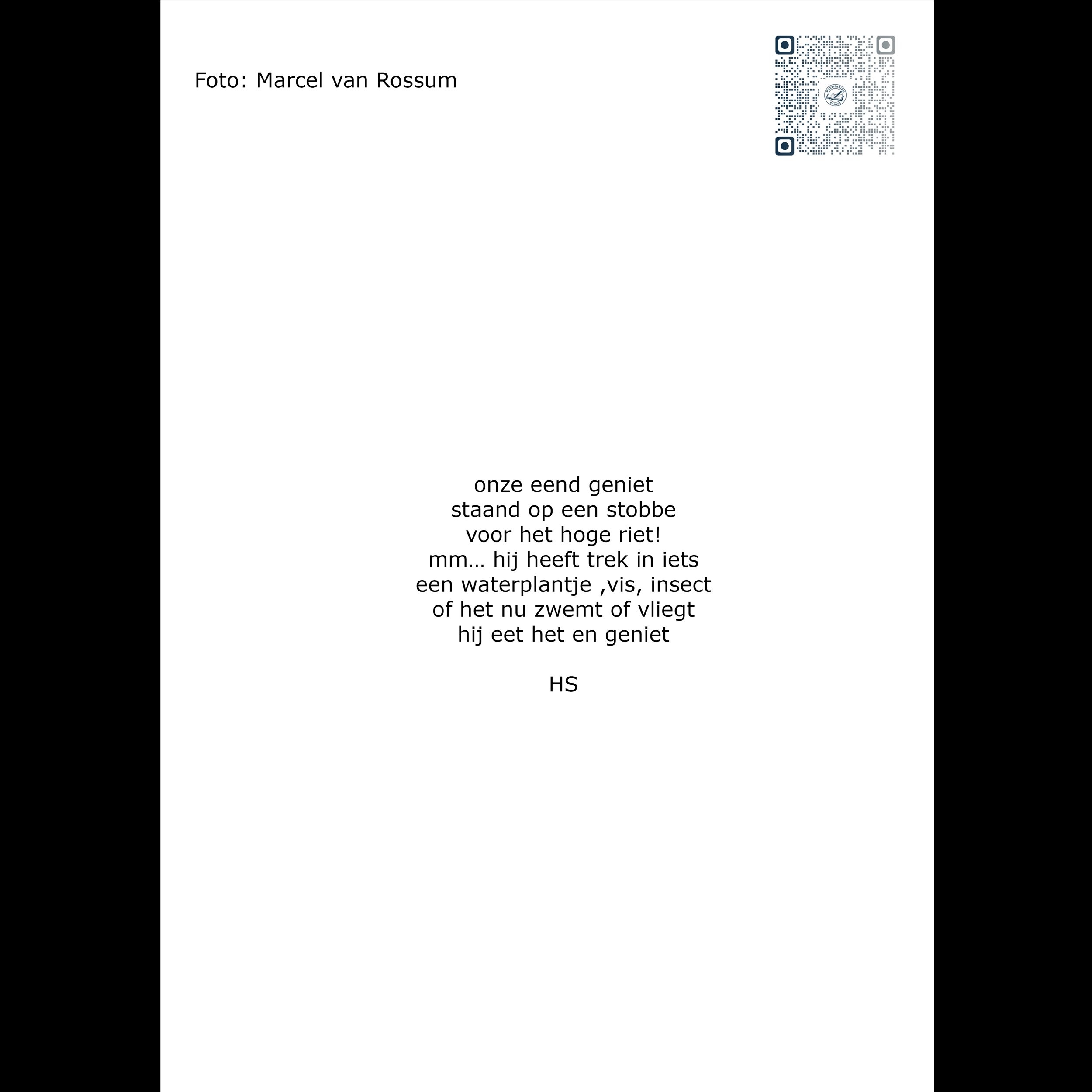 Marcel-van-Rossum-gedicht-2500-2500-PX.jpg
