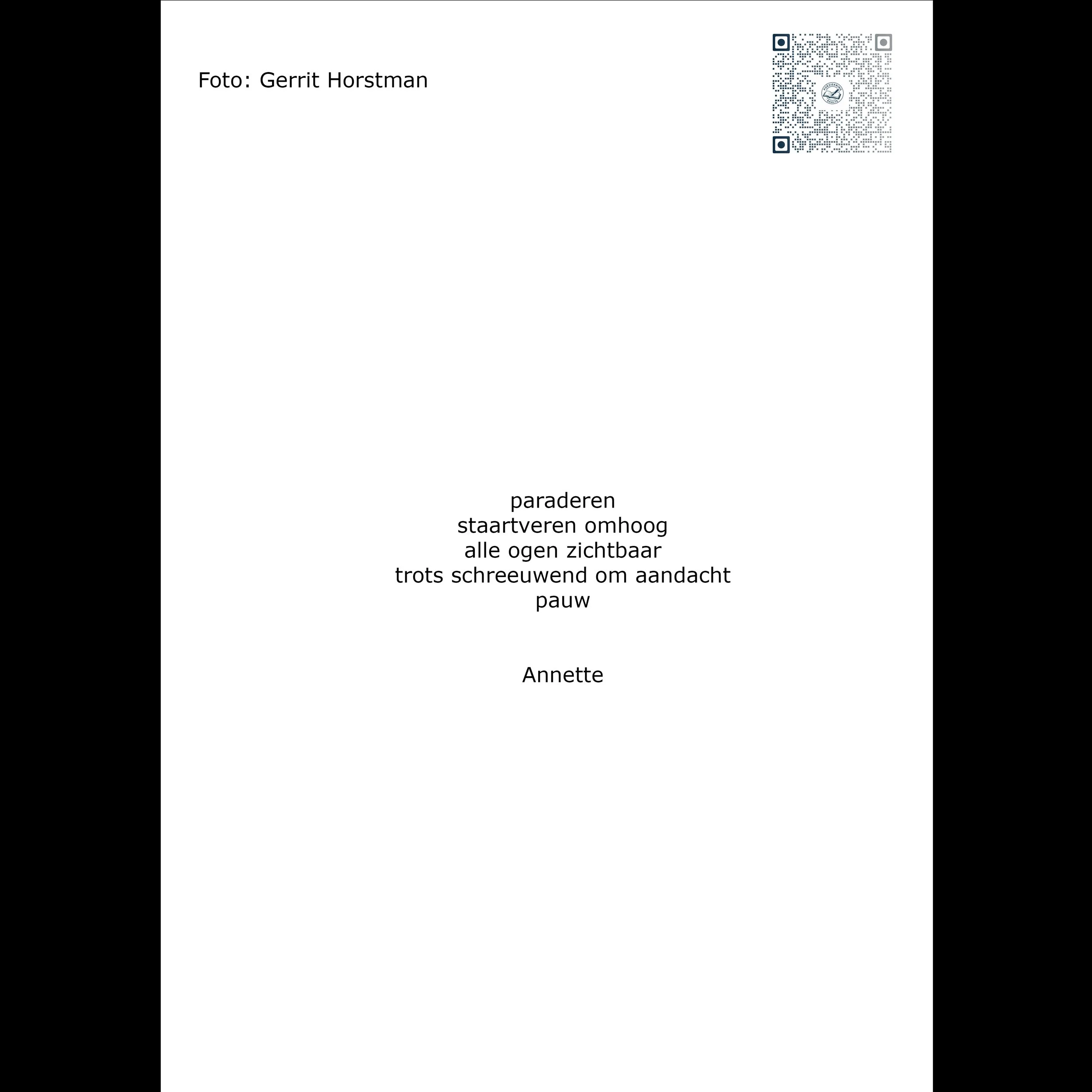 Gerrit-Horstman-gedicht-2500-2500-PX.jpg