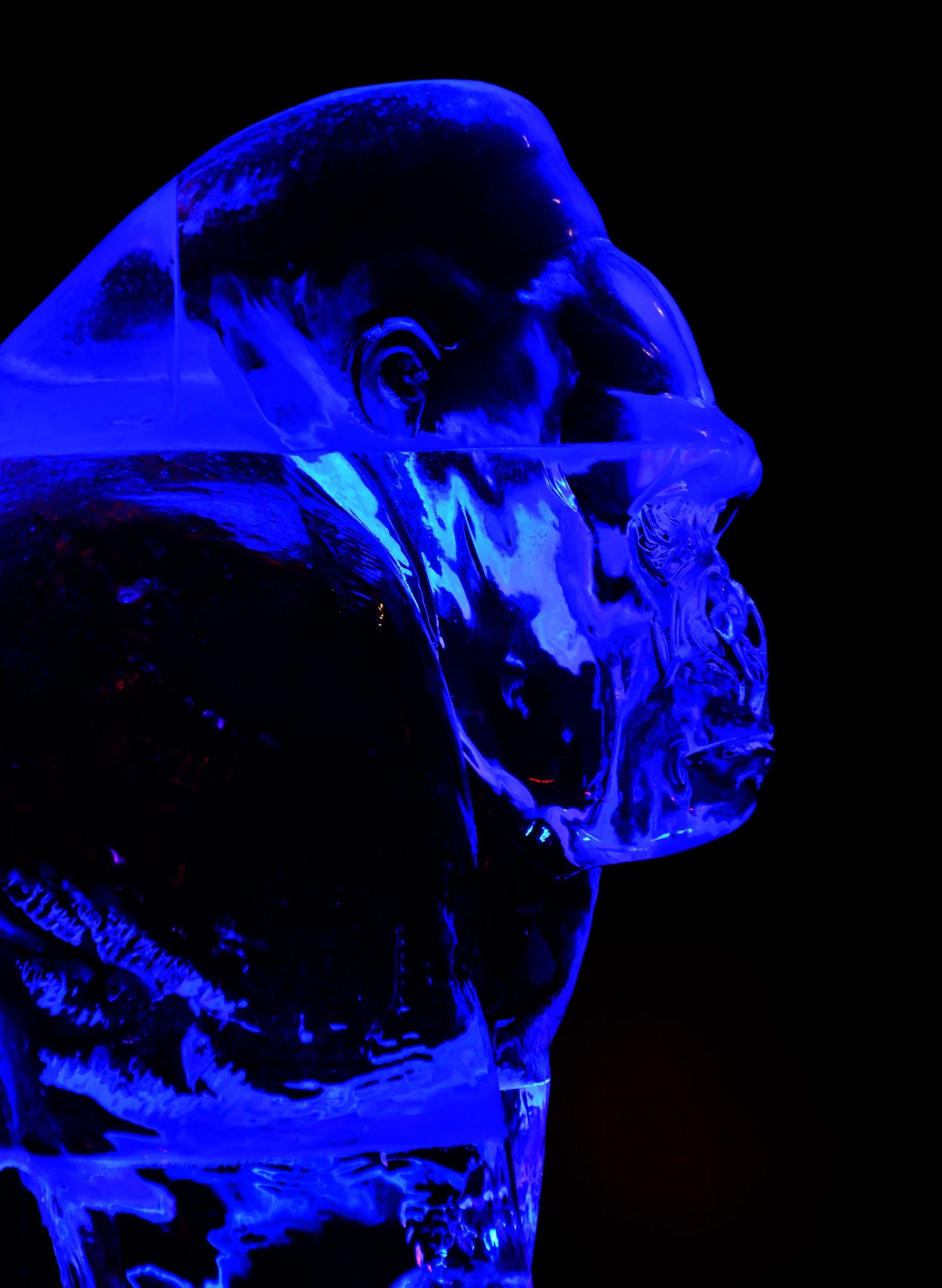 Renkema ijsbeelden (2).JPG