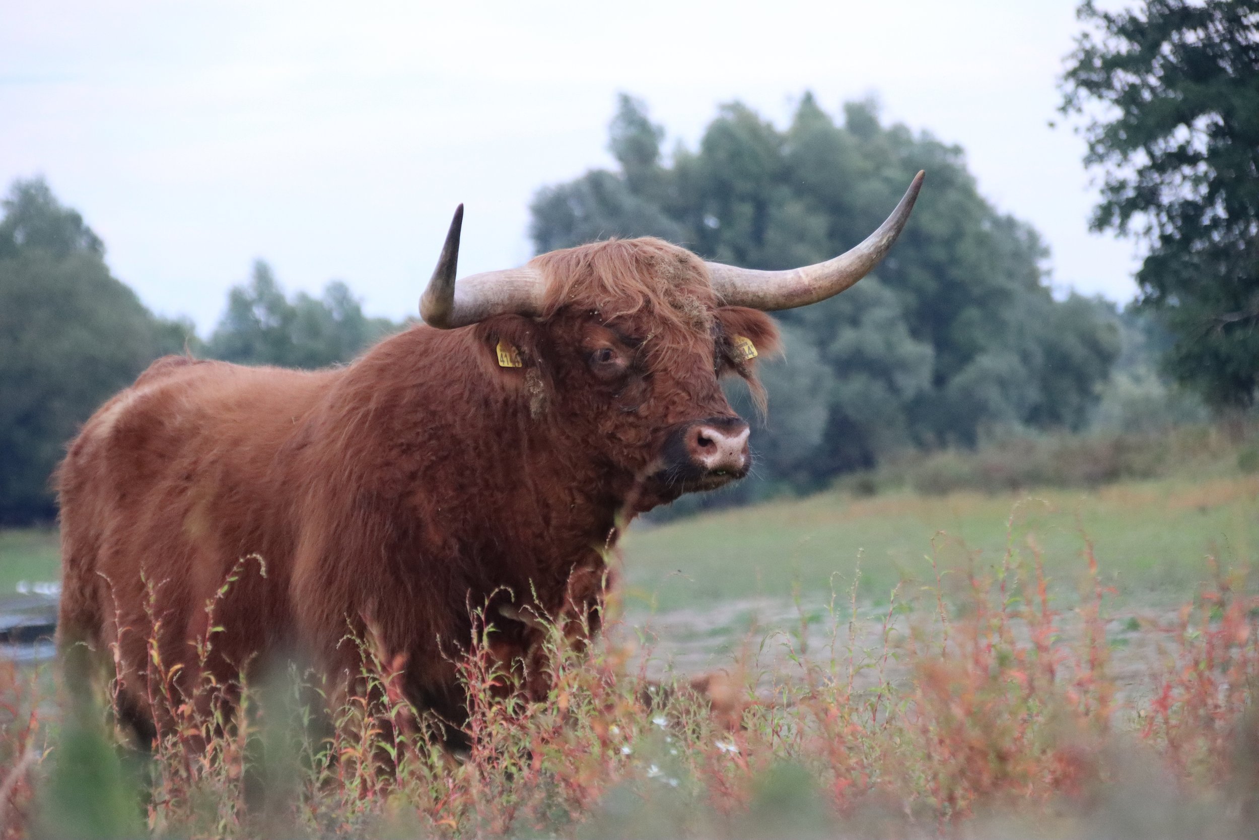 Fotograaf Marja Overmars