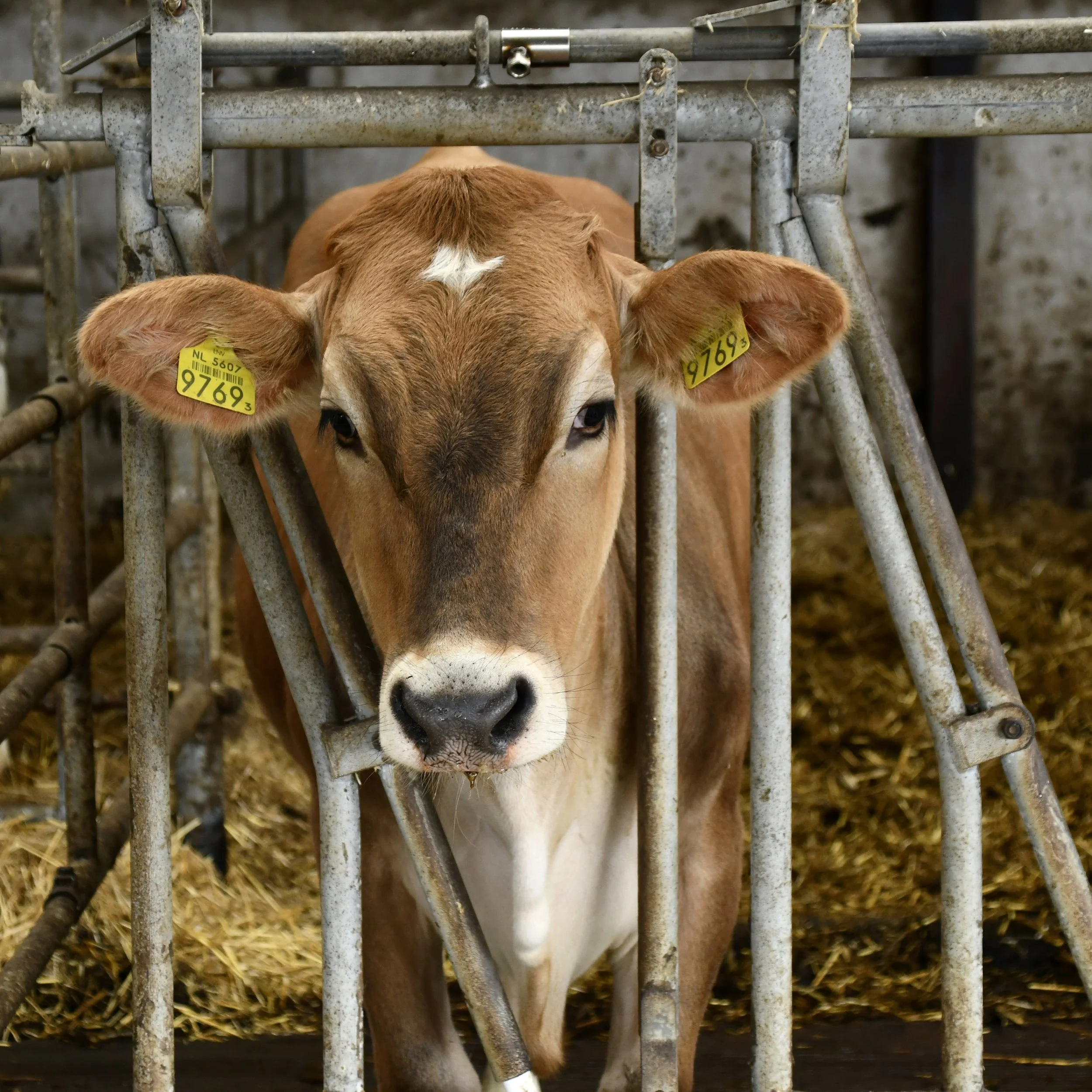 Henk Renkema (2).JPG