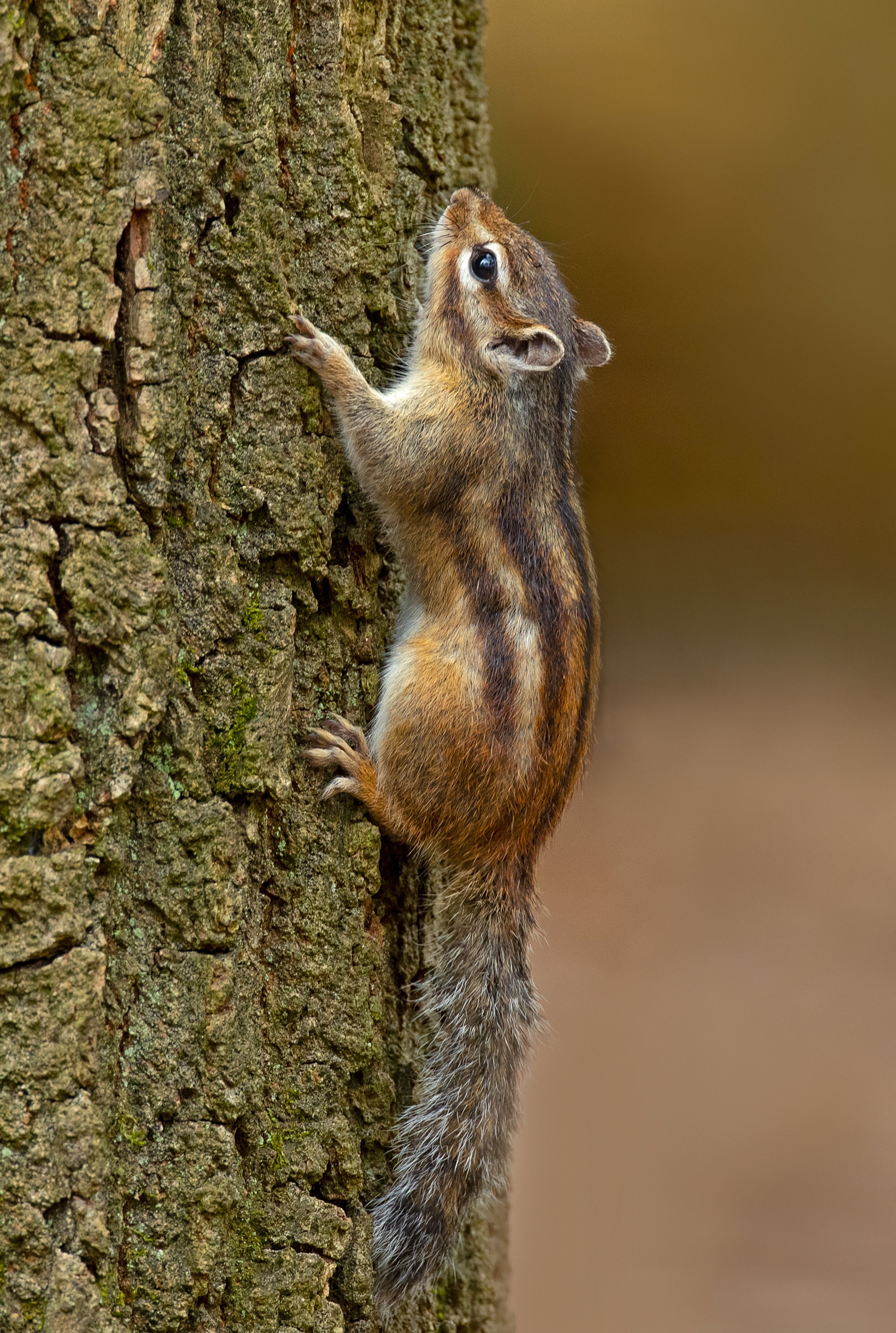 __RP Yourpic 8674.jpg