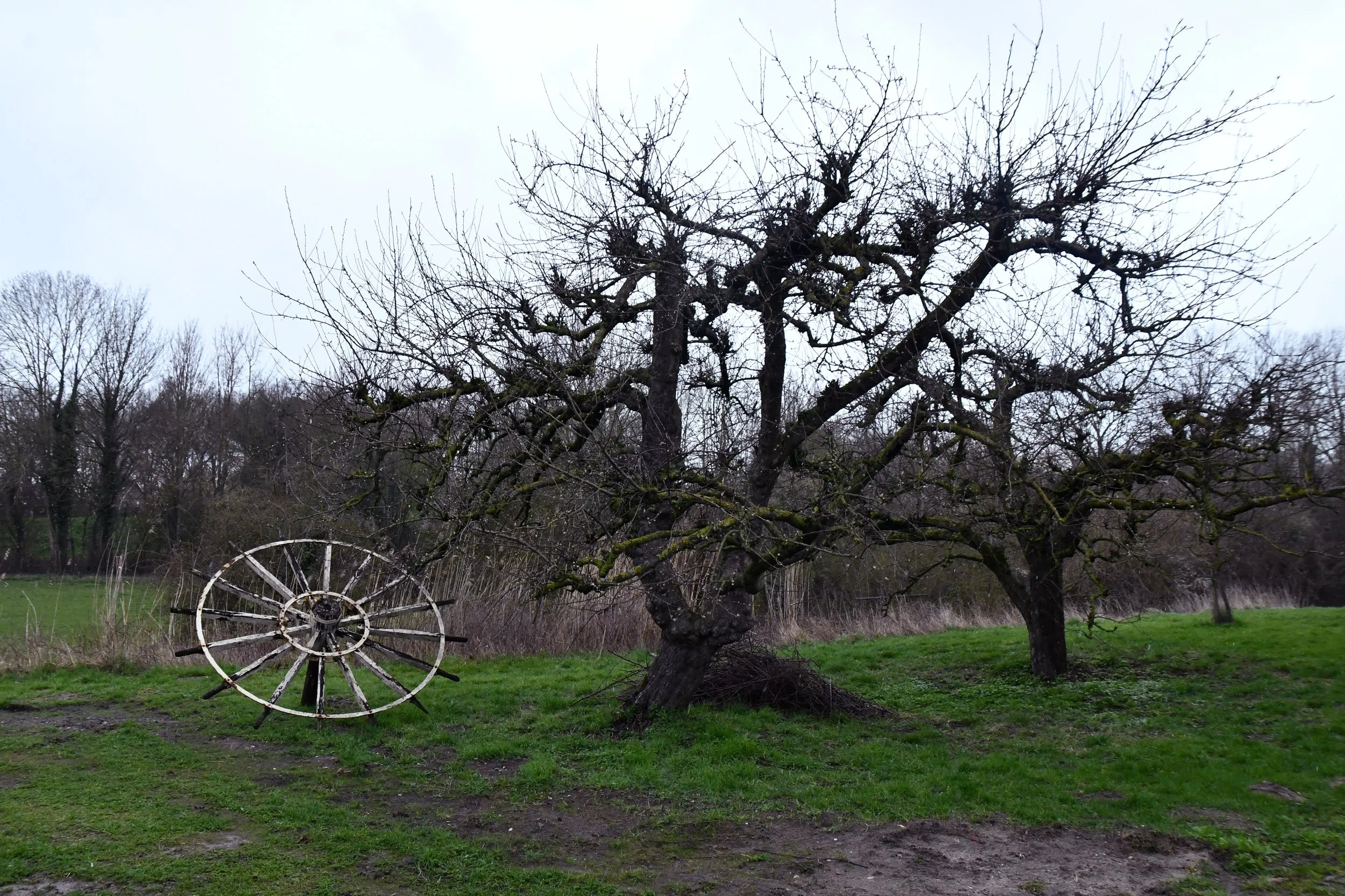 Bolwerksmolen Henk Renkema.JPG