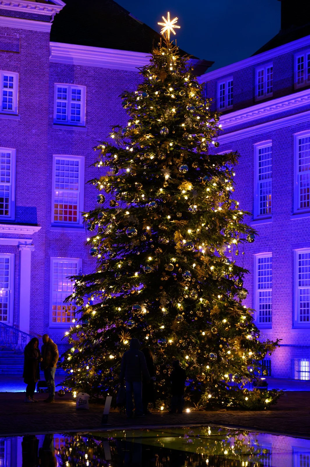 Grote kerstboom versierd met gouden ornamenten en lichtjes, onder een blauwe lucht, buiten voor een groot gebouw met meerdere ramen, met mensen die eromheen staan.
